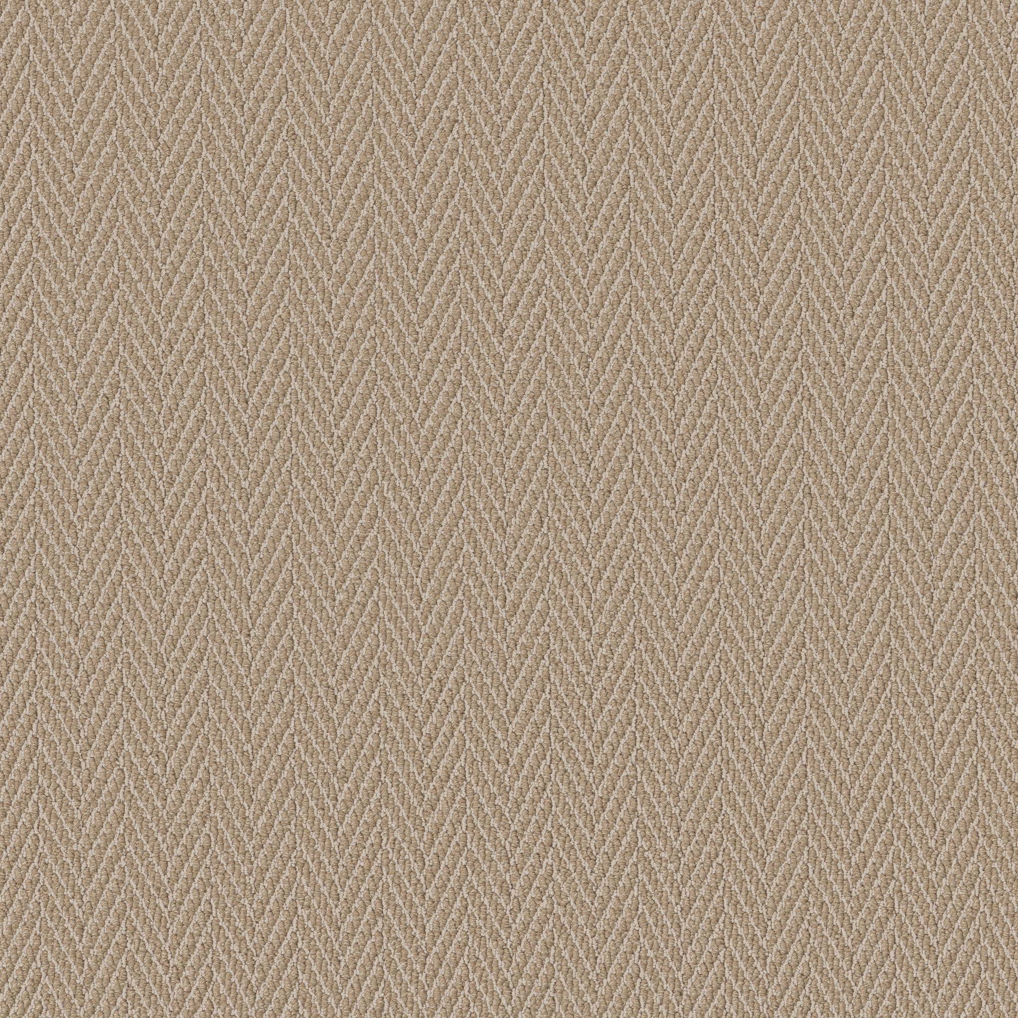 Always Natural Carpet - Cork Zoomed Swatch Image