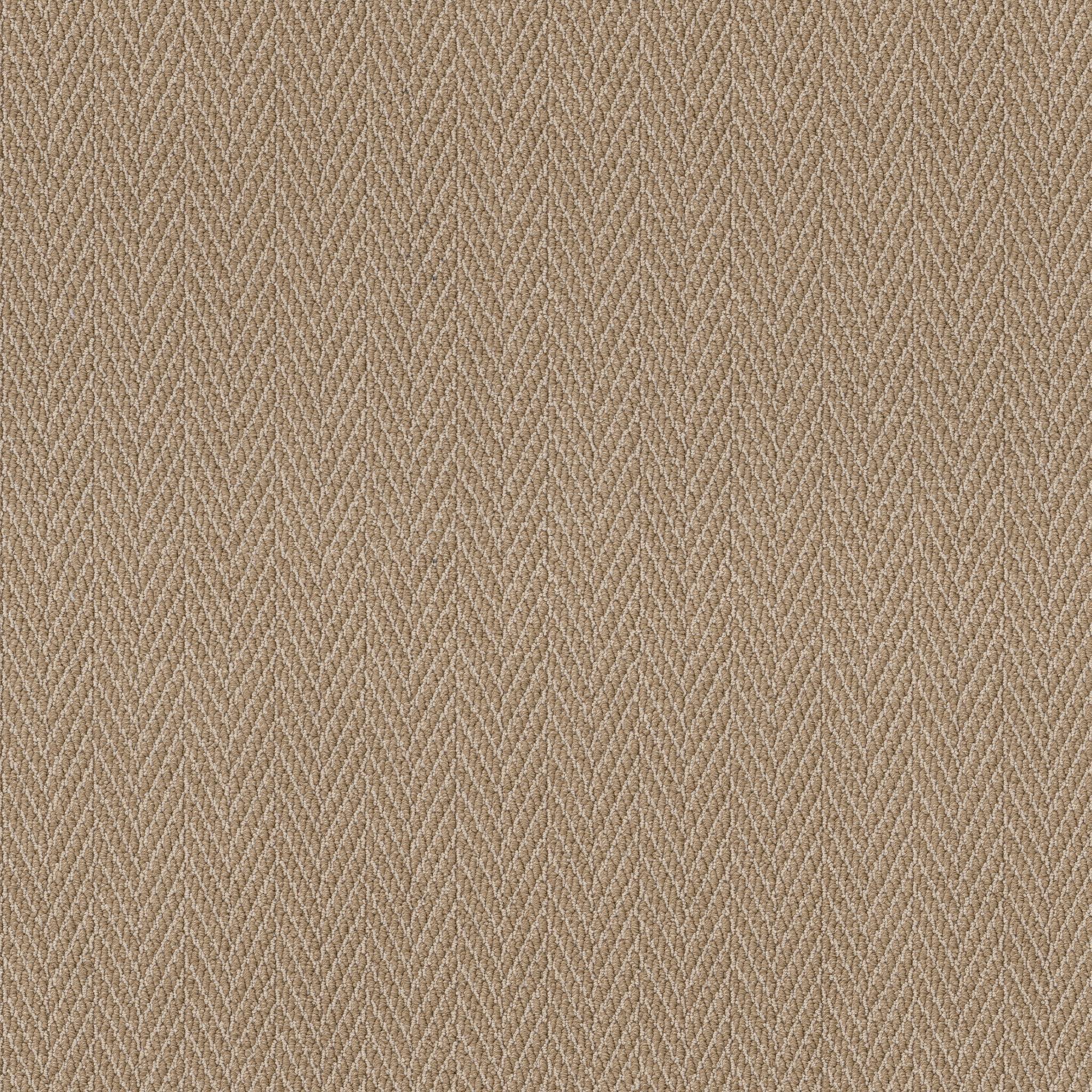 Always Natural Carpet - Sailcloth Zoomed Swatch Image