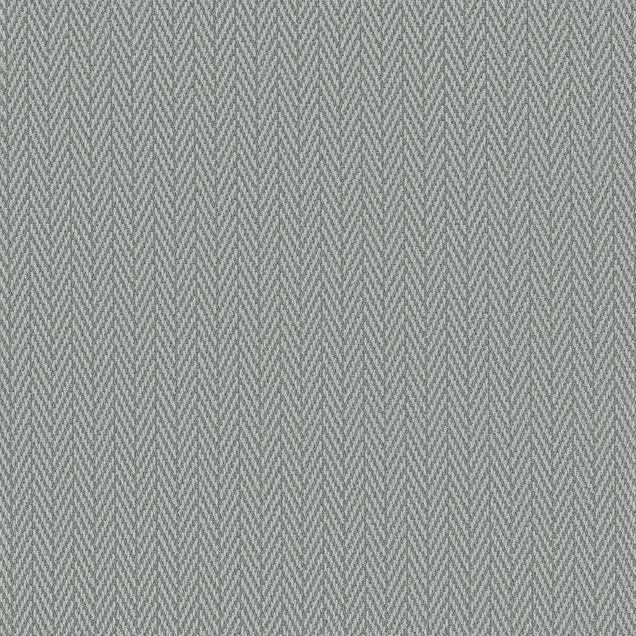 Always Natural Carpet - Graceful Zoomed Swatch Image