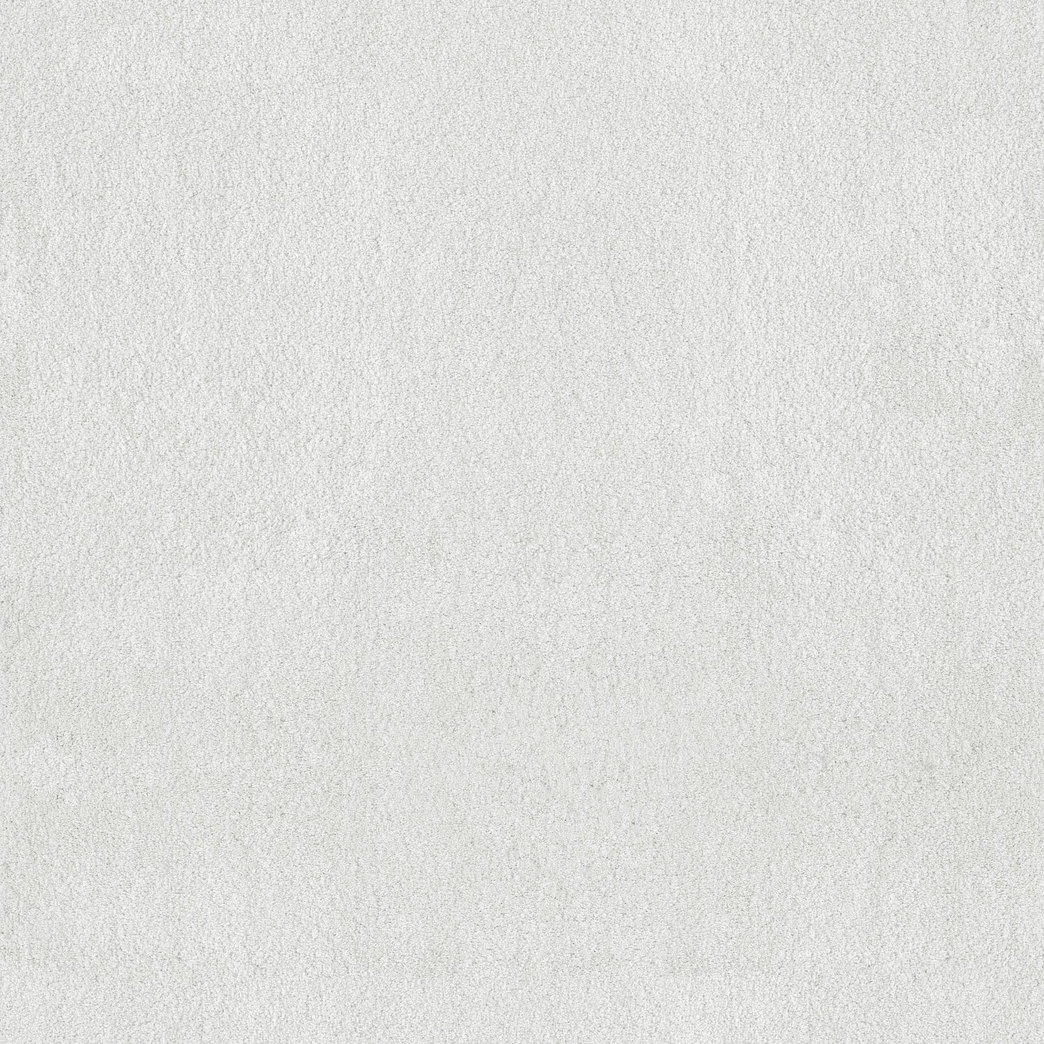 Luxe Feel I Carpet - Crisp Zoomed Swatch Image
