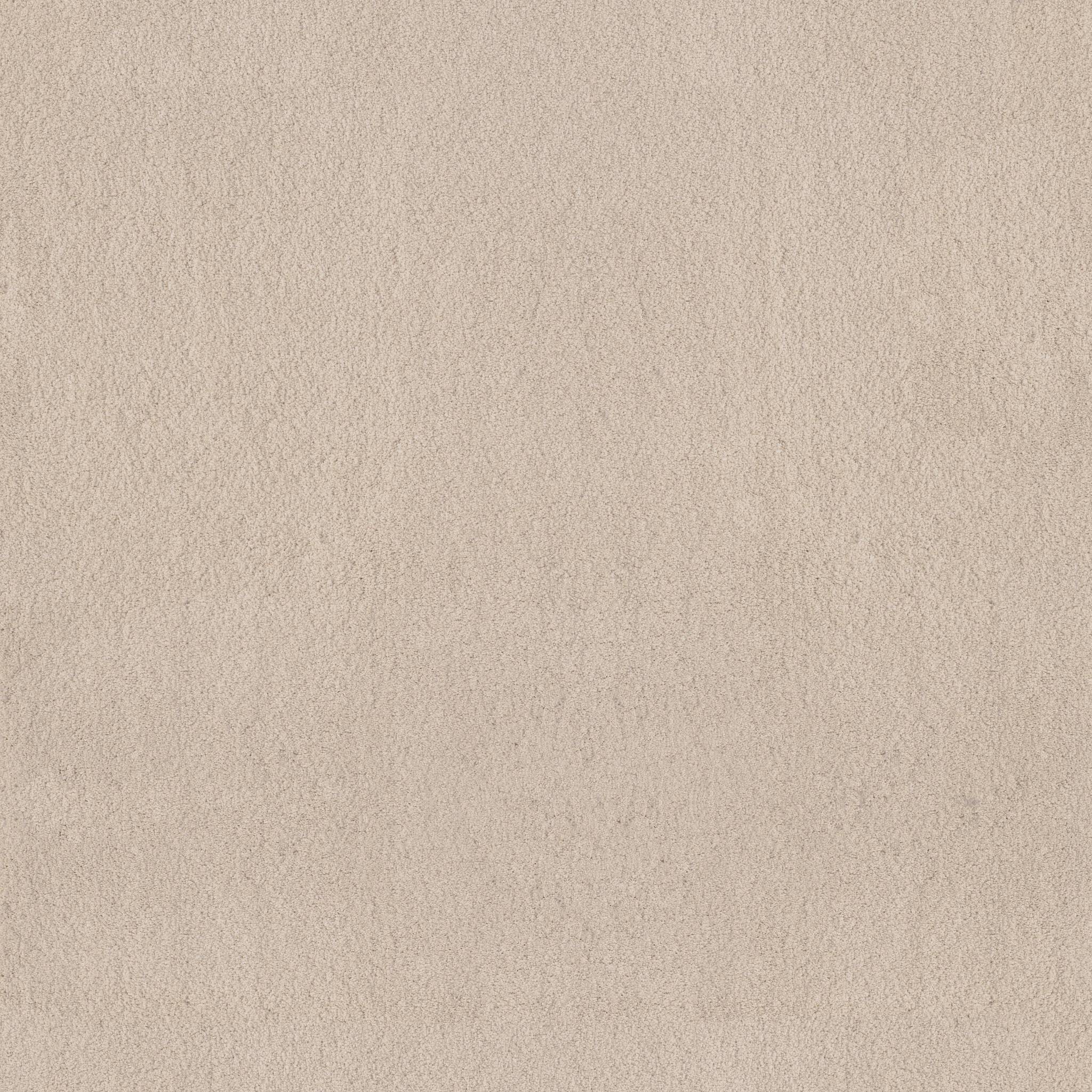 Luxe Feel I Carpet - Heirloom Zoomed Swatch Image