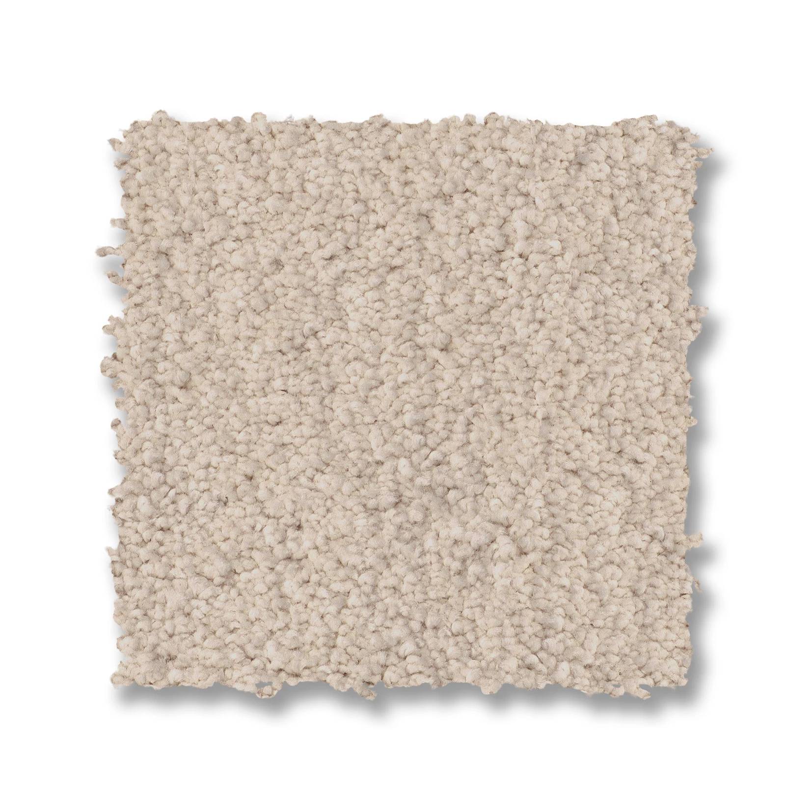 Luxe Feel I Carpet - Heirloom Swatch Thumbnail pupop1