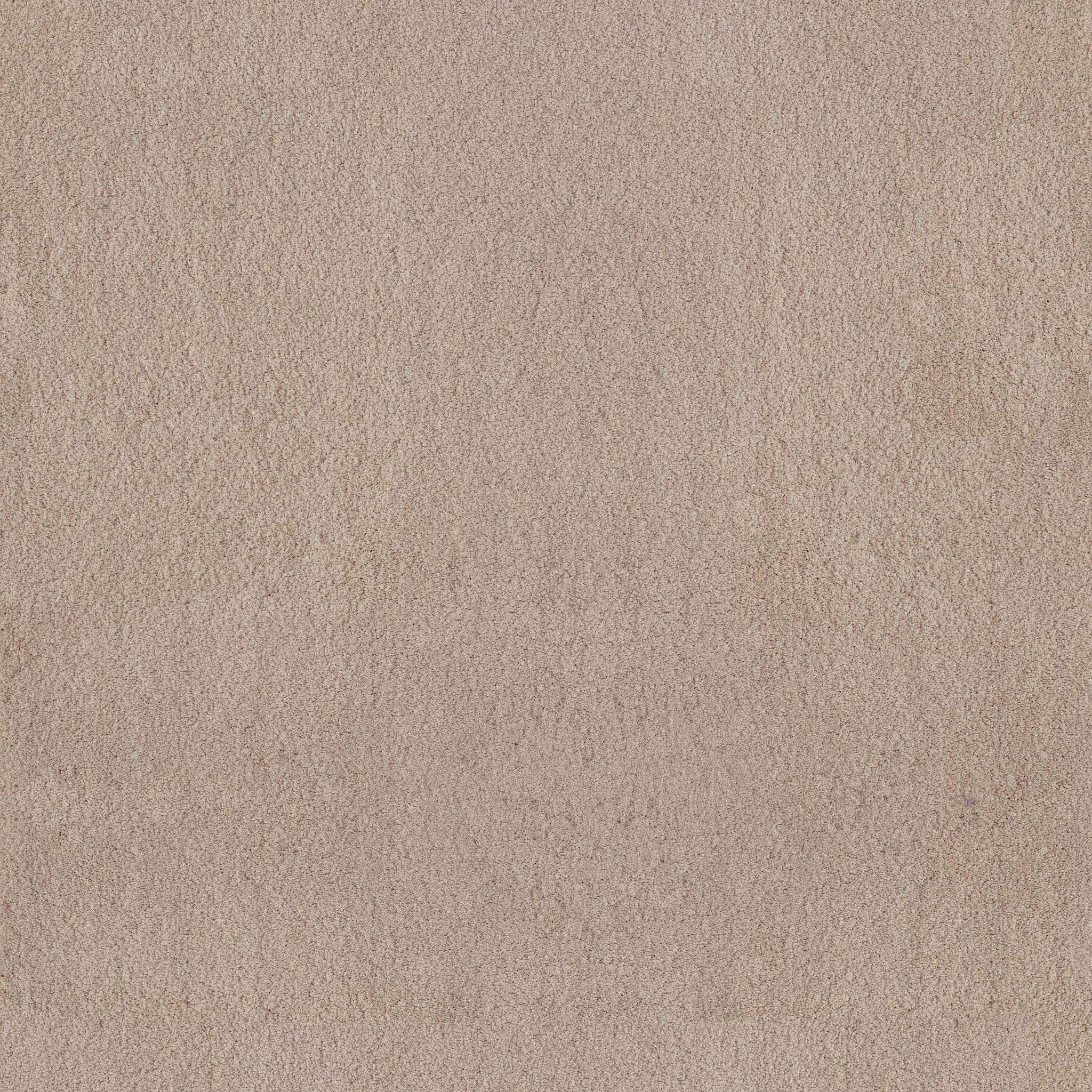 Luxe Feel I Carpet - Suede Zoomed Swatch Image
