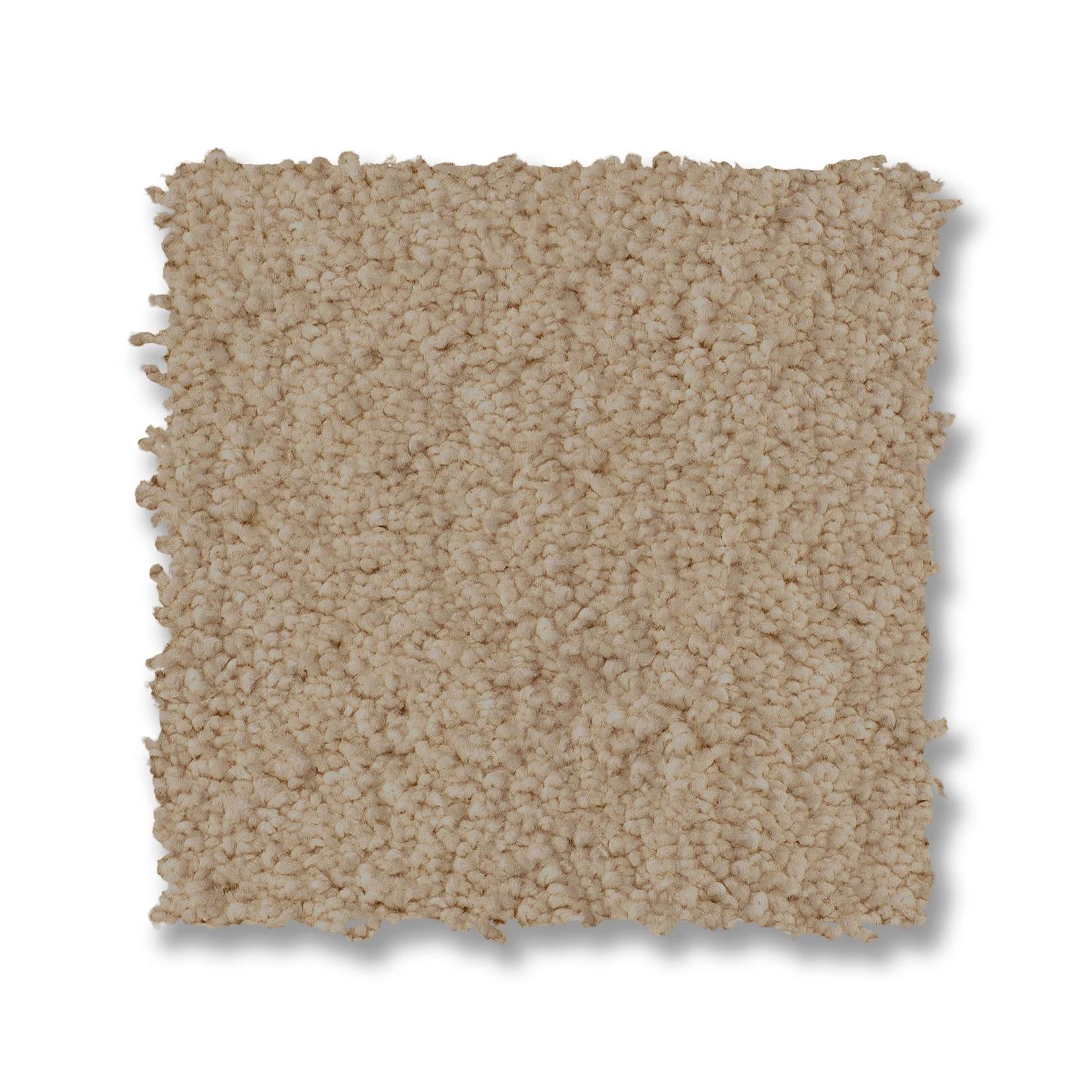 Luxe Feel I Carpet - Gentle Doe Swatch Thumbnail pupop1