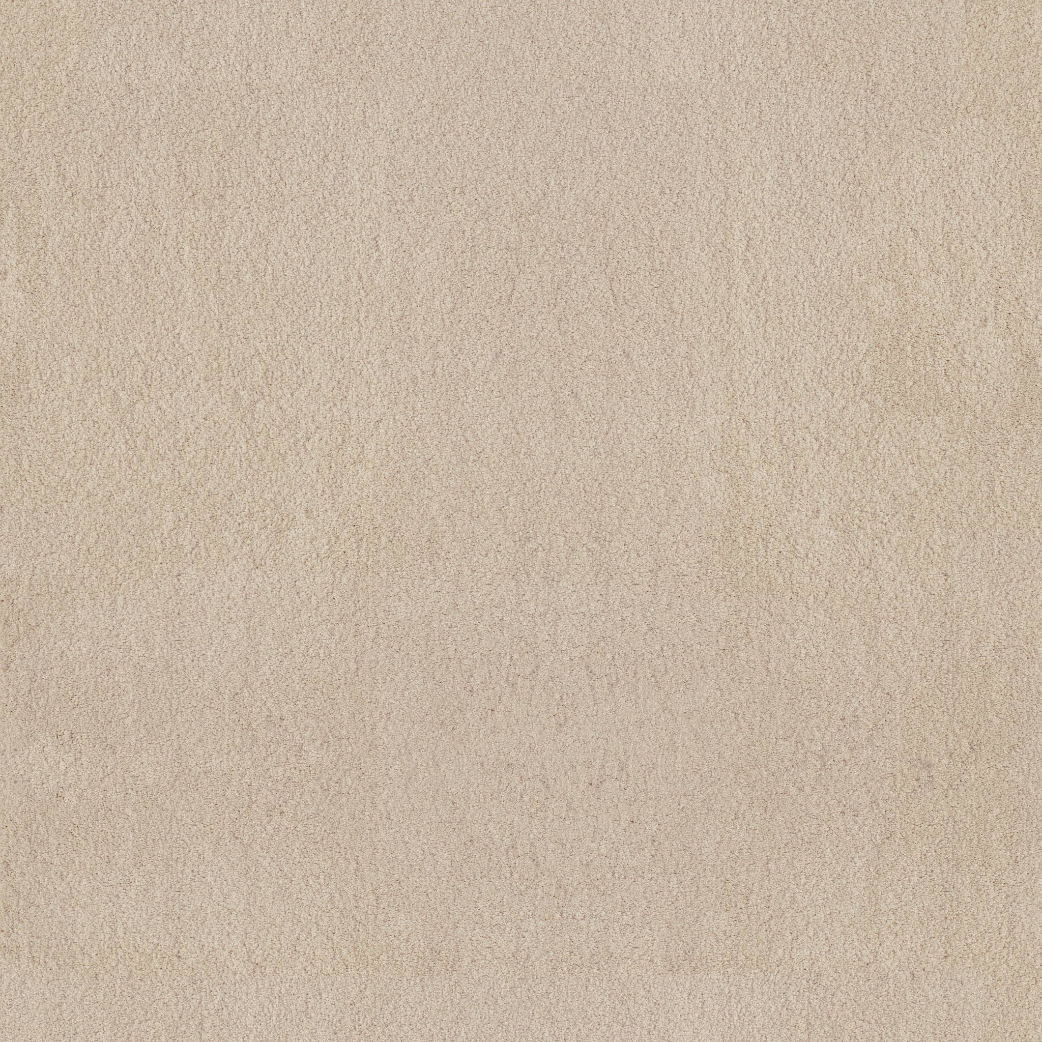 Luxe Feel I Carpet - Sunlit Zoomed Swatch Image