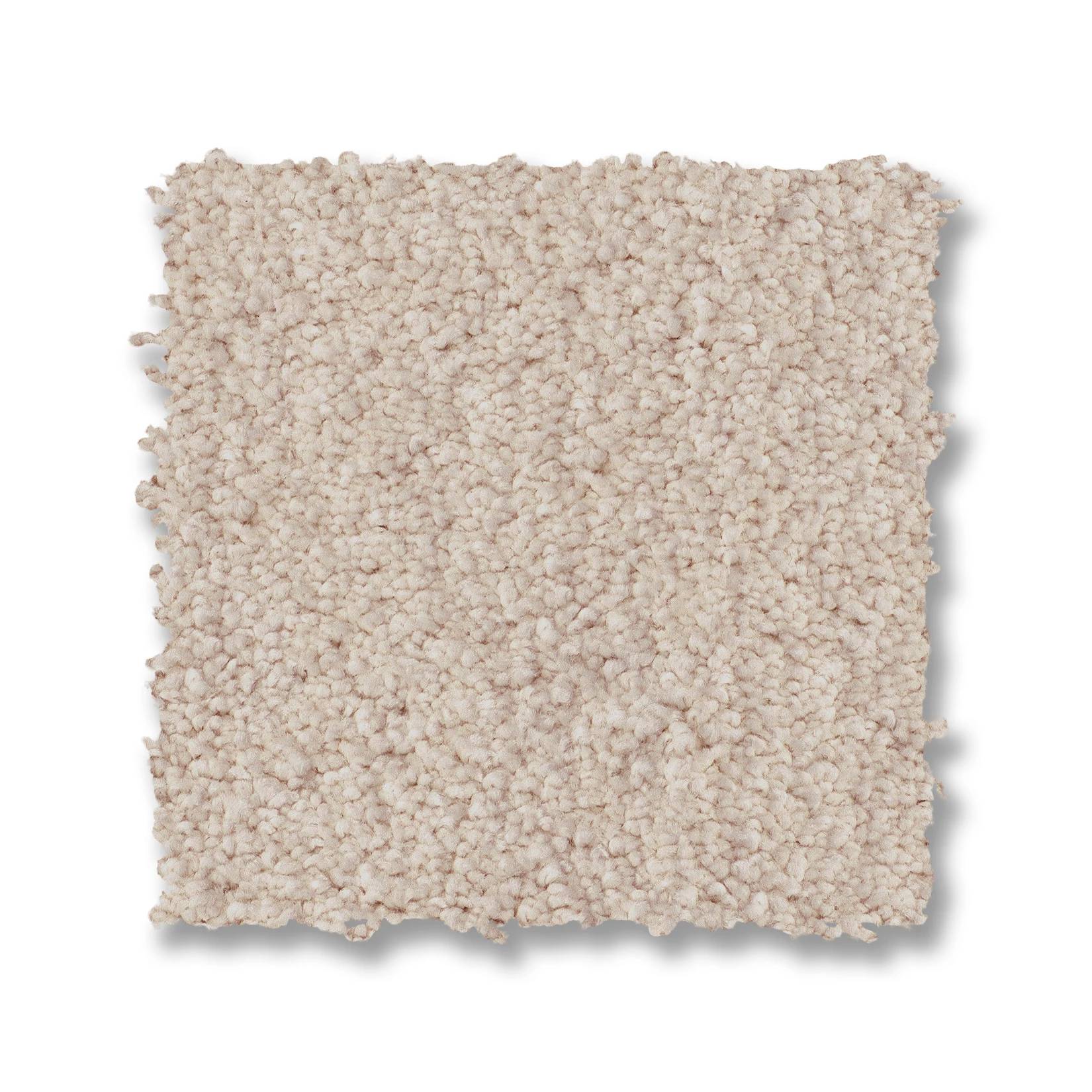 Luxe Feel I Carpet - Neutral Ground Swatch Thumbnail pupop1