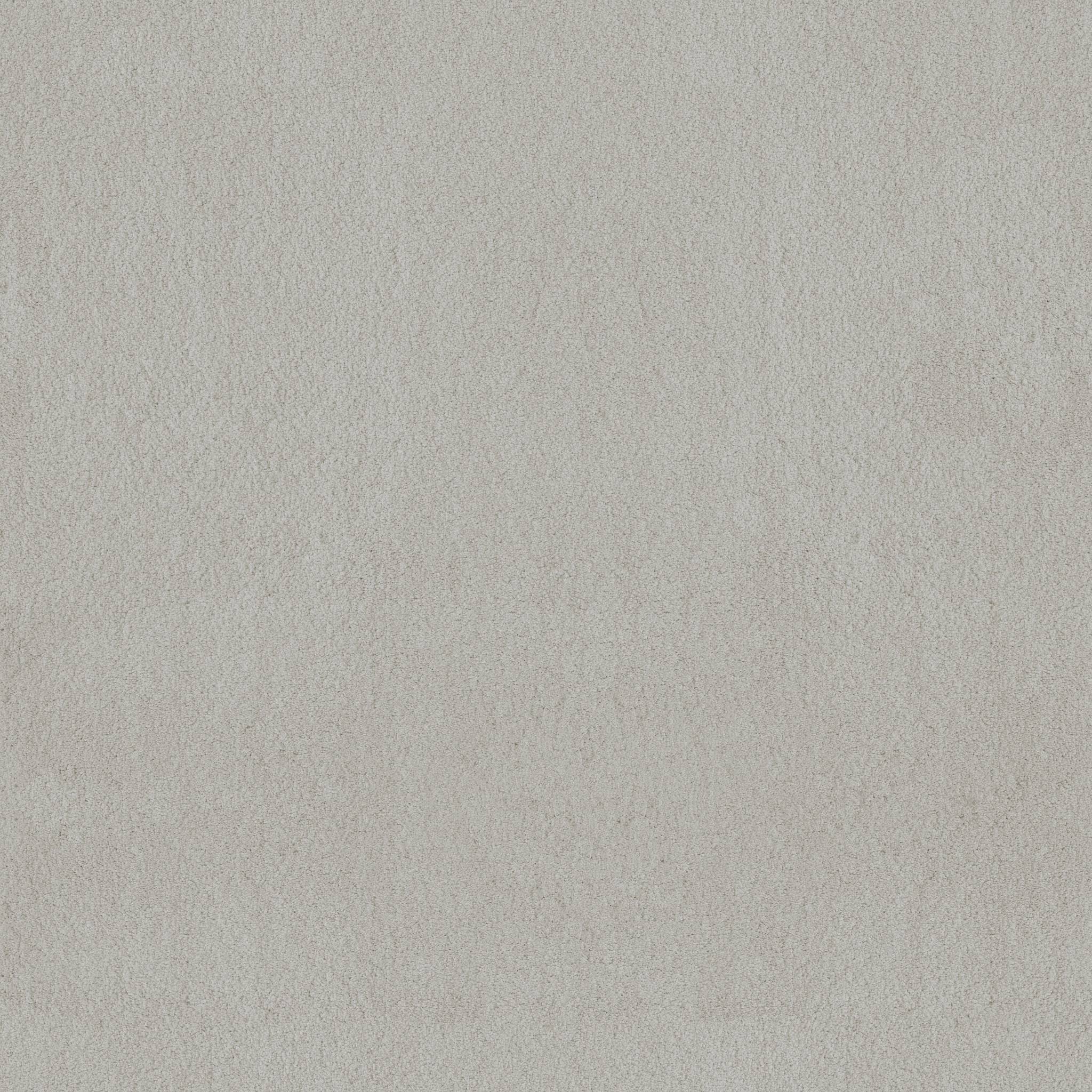 Luxe Feel I Carpet - Folly Zoomed Swatch Image