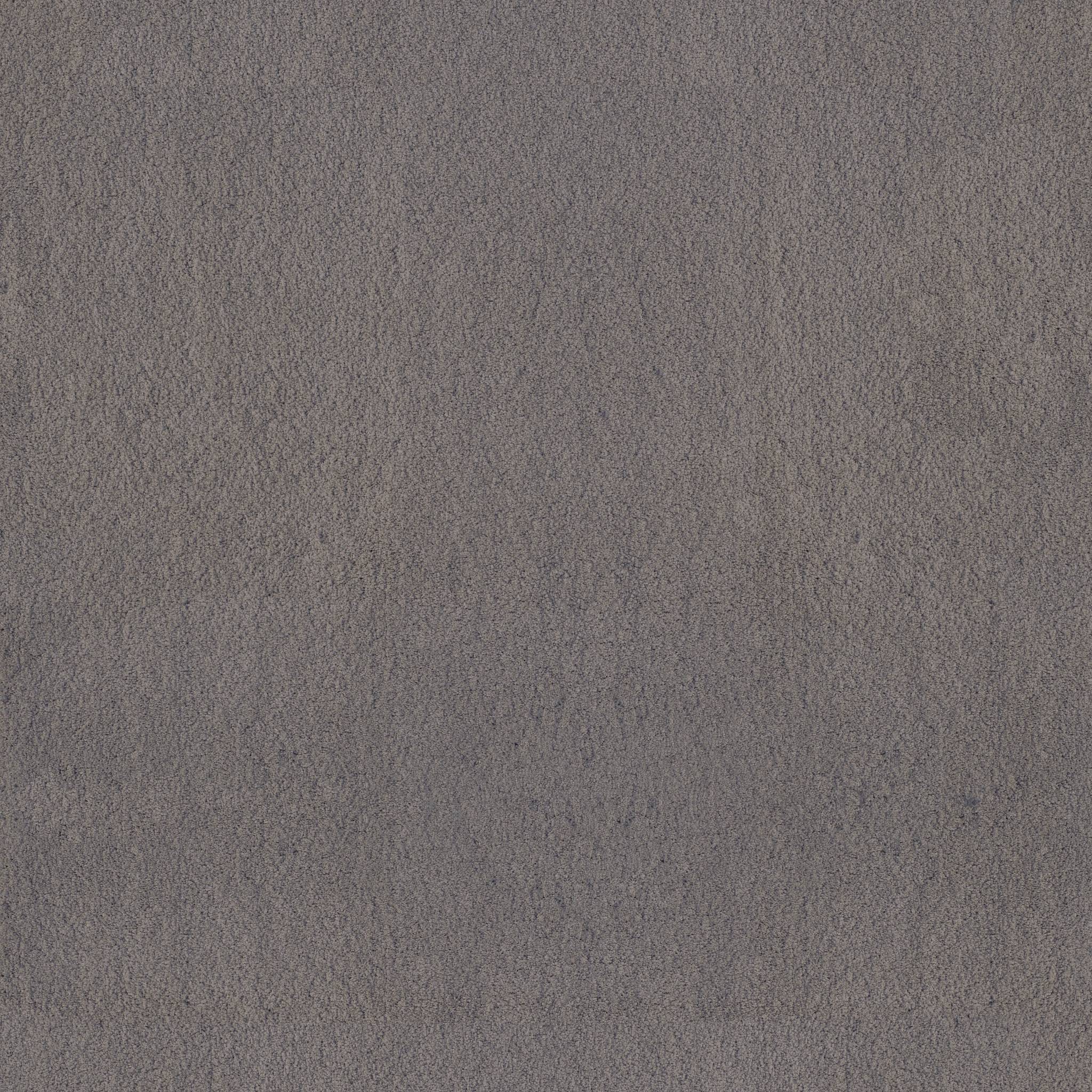 Luxe Feel I Carpet - Shale Stone Zoomed Swatch Image