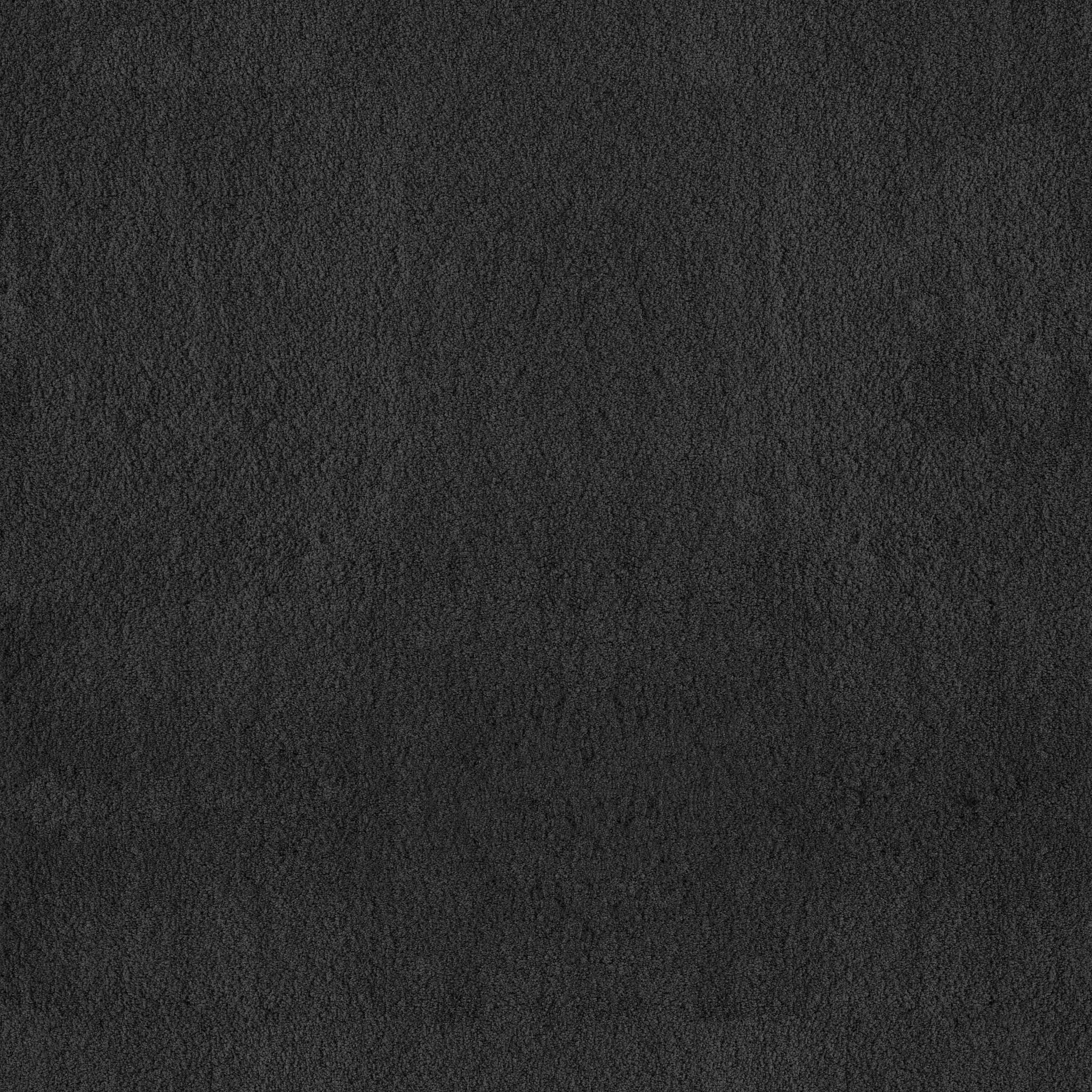 Luxe Feel I Carpet - Blackout Zoomed Swatch Image