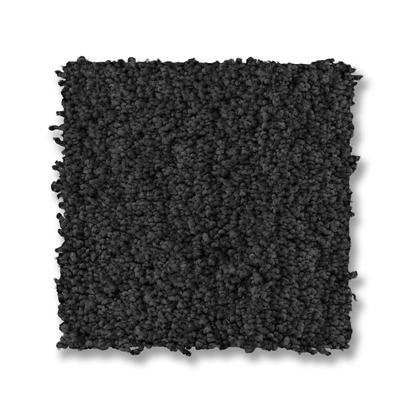 Luxe Feel I Carpet - Blackout Swatch Thumbnail pupop1