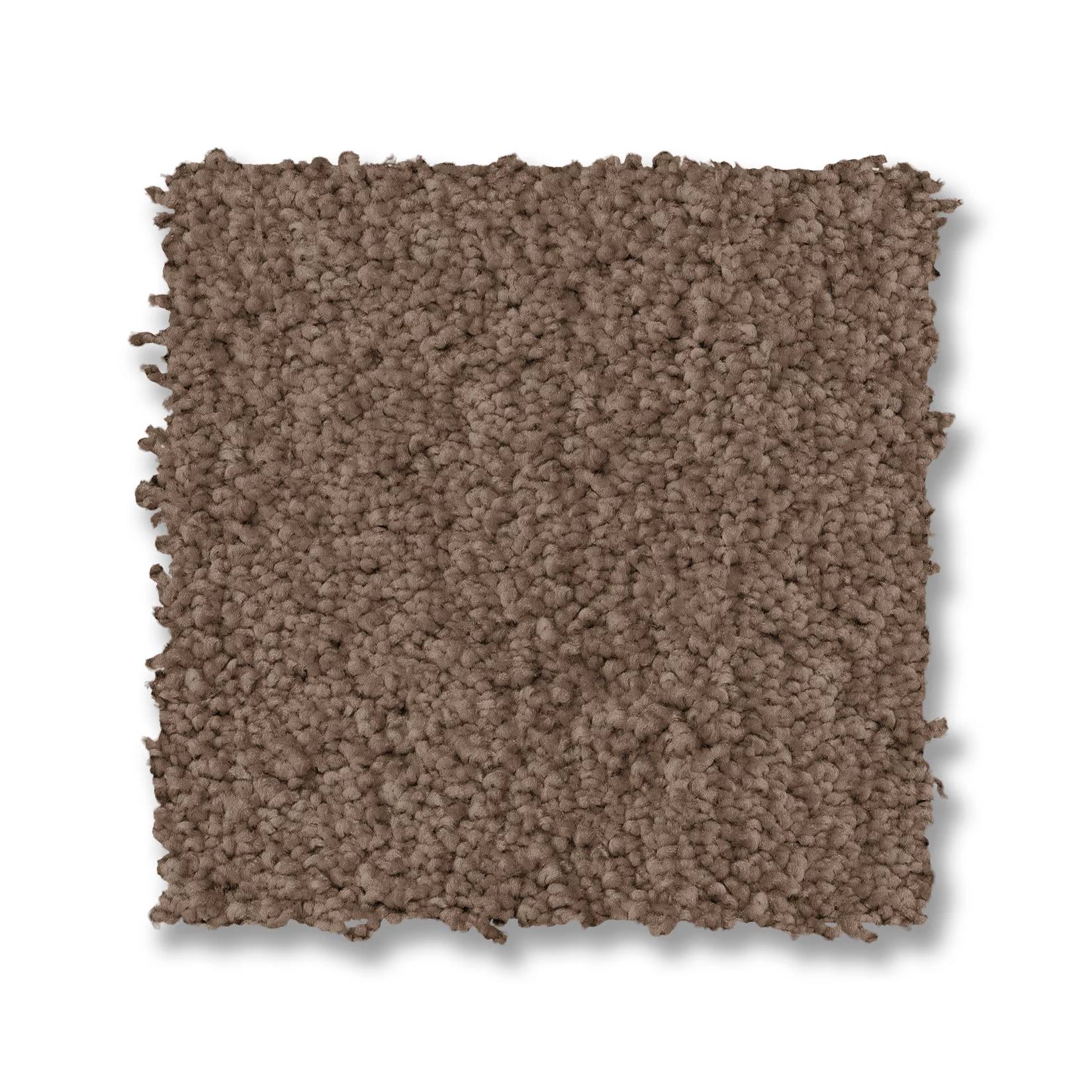 Luxe Feel I Carpet - Pebble Path Swatch Thumbnail pupop1
