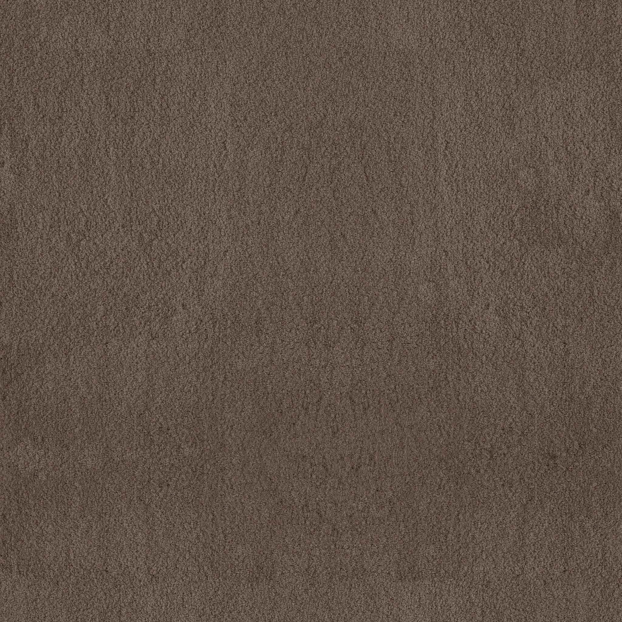 Luxe Feel I Carpet - Mesquite Zoomed Swatch Image