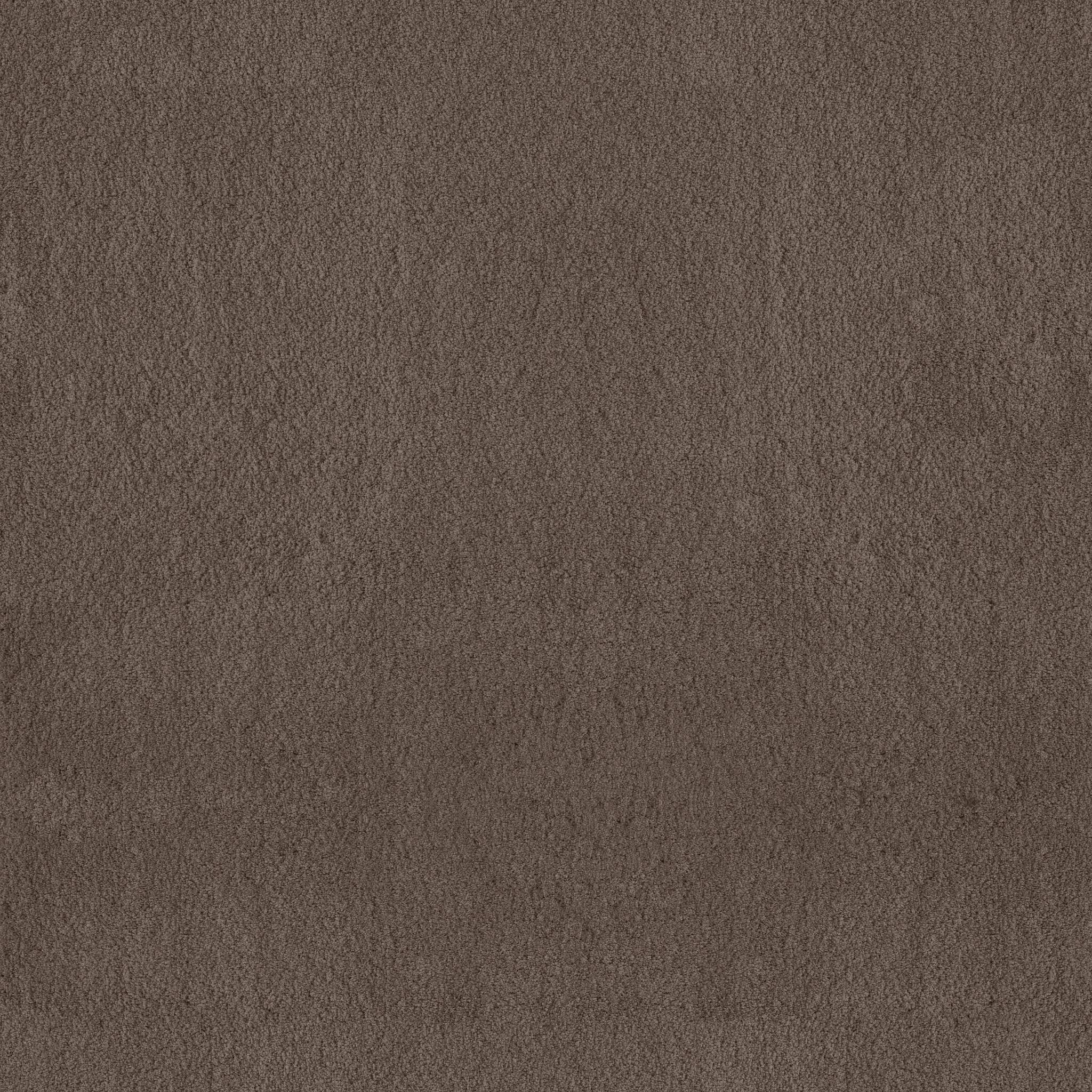 Luxe Feel I Carpet - Mesquite Zoomed Swatch Image