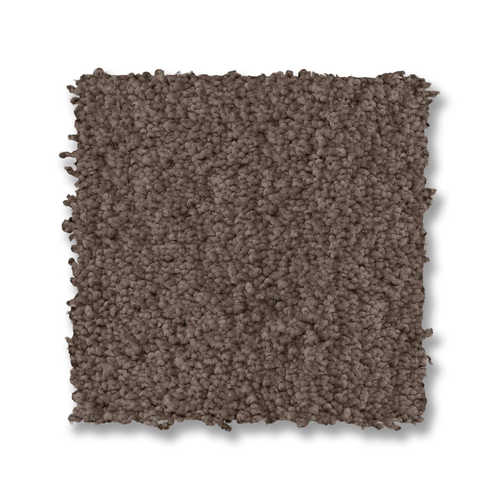 Luxe Feel I Carpet - Mesquite Swatch Thumbnail pupop1