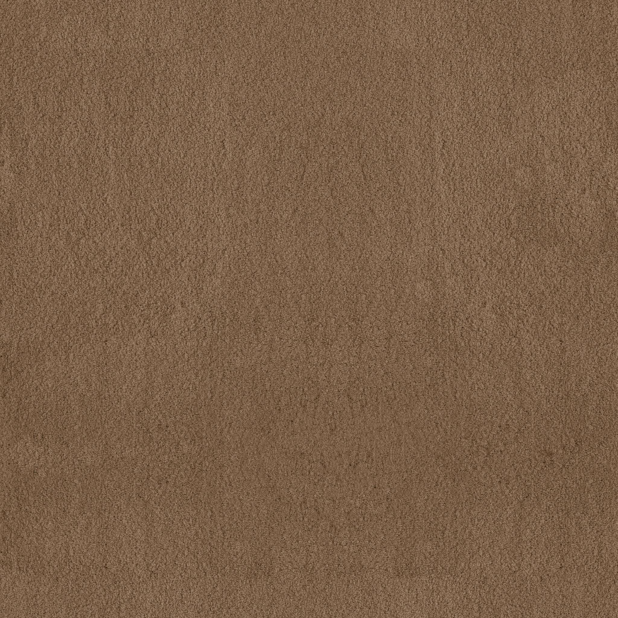 Luxe Feel I Carpet - Dried Chamomile Zoomed Swatch Image