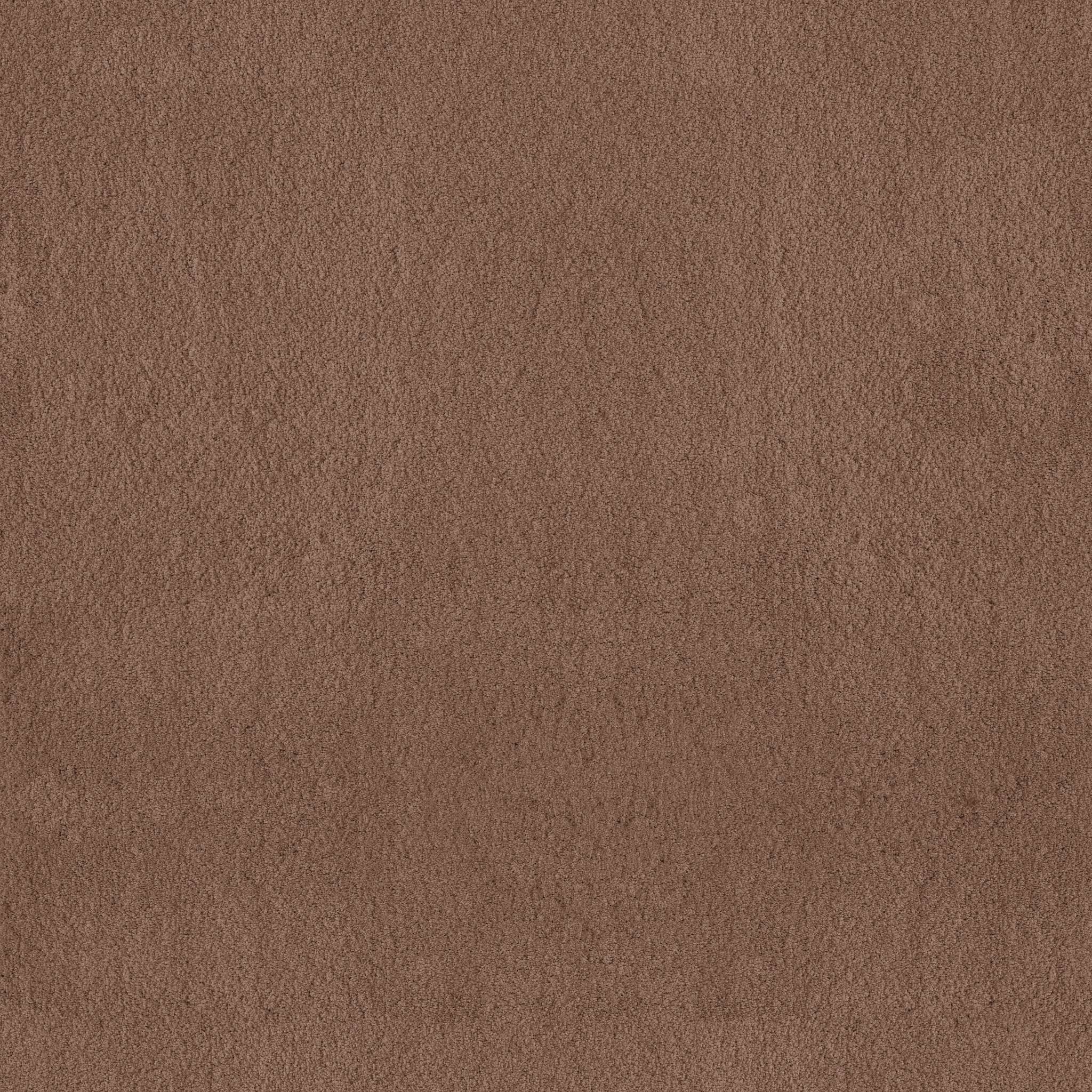 Luxe Feel I Carpet - Sugar Maple Zoomed Swatch Image