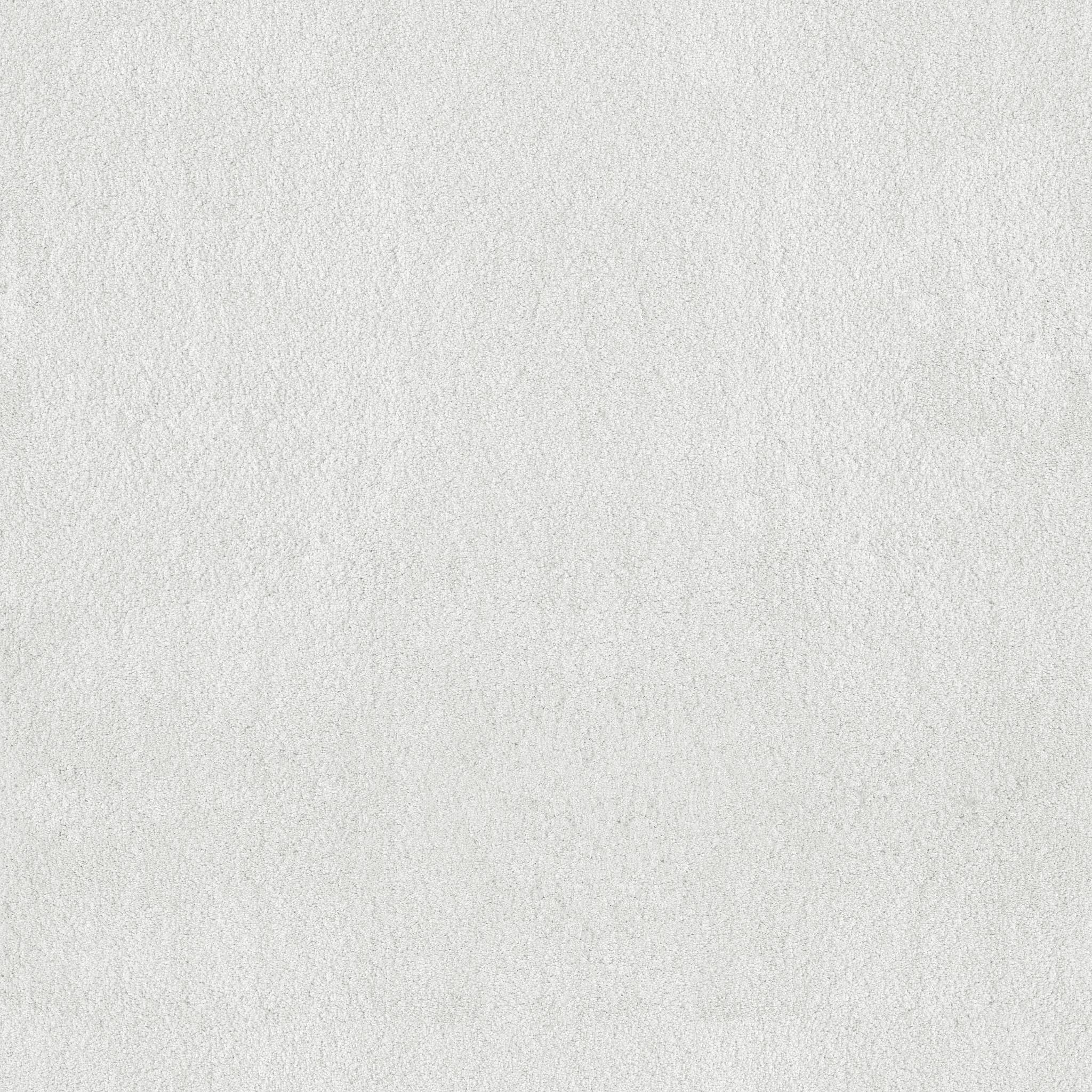 Luxe Feel II Carpet - Crisp Zoomed Swatch Image