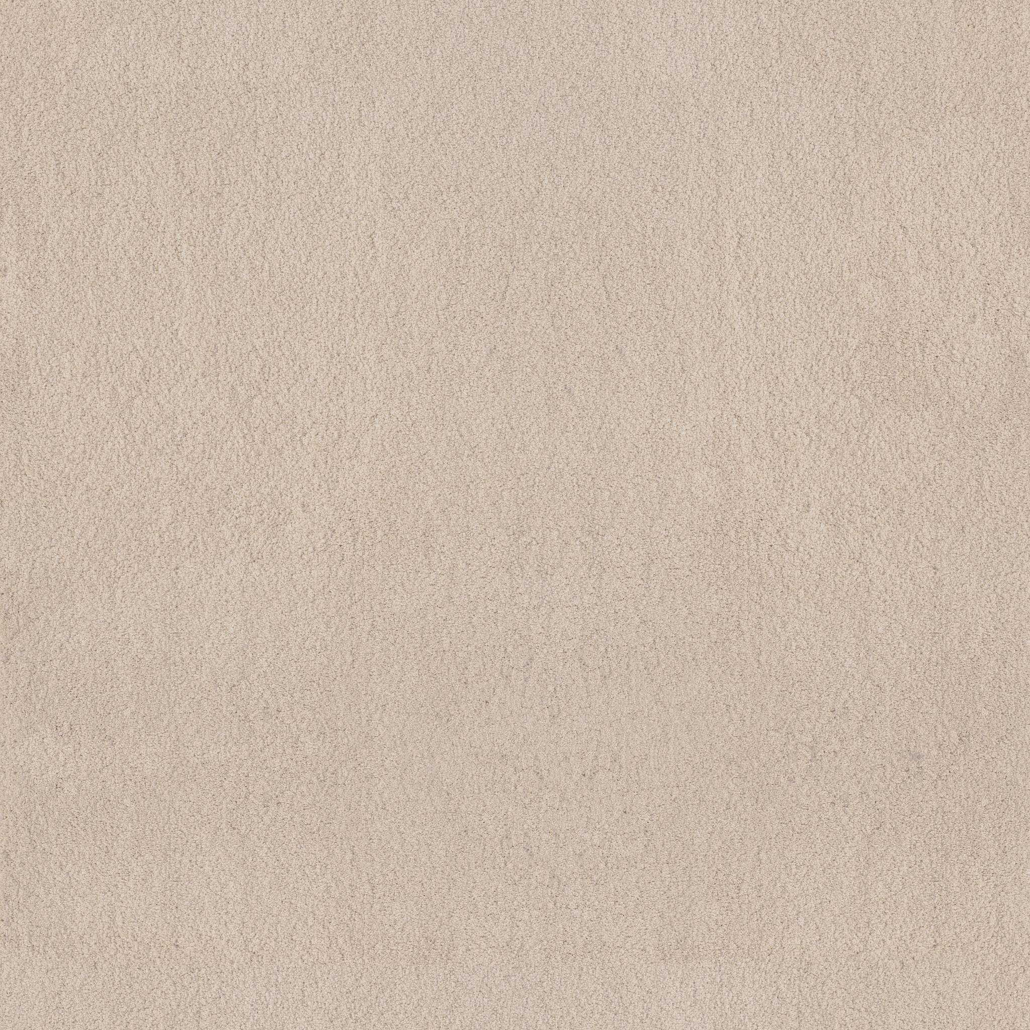 Luxe Feel II Carpet - Heirloom Zoomed Swatch Image