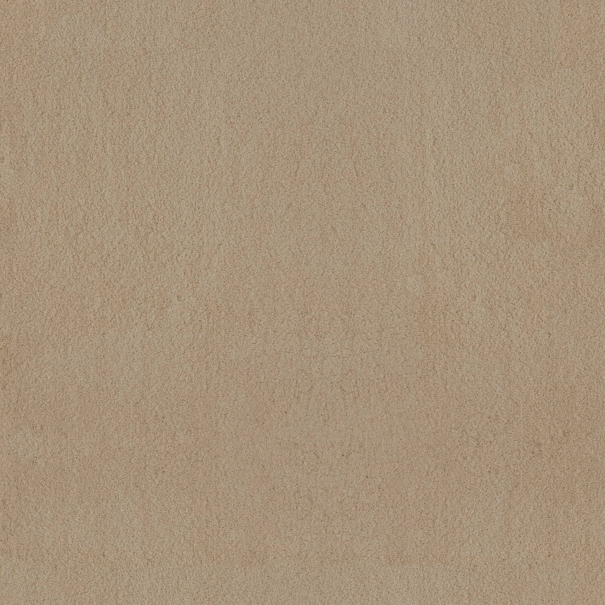 Luxe Feel II Carpet - Gentle Doe Zoomed Swatch Image