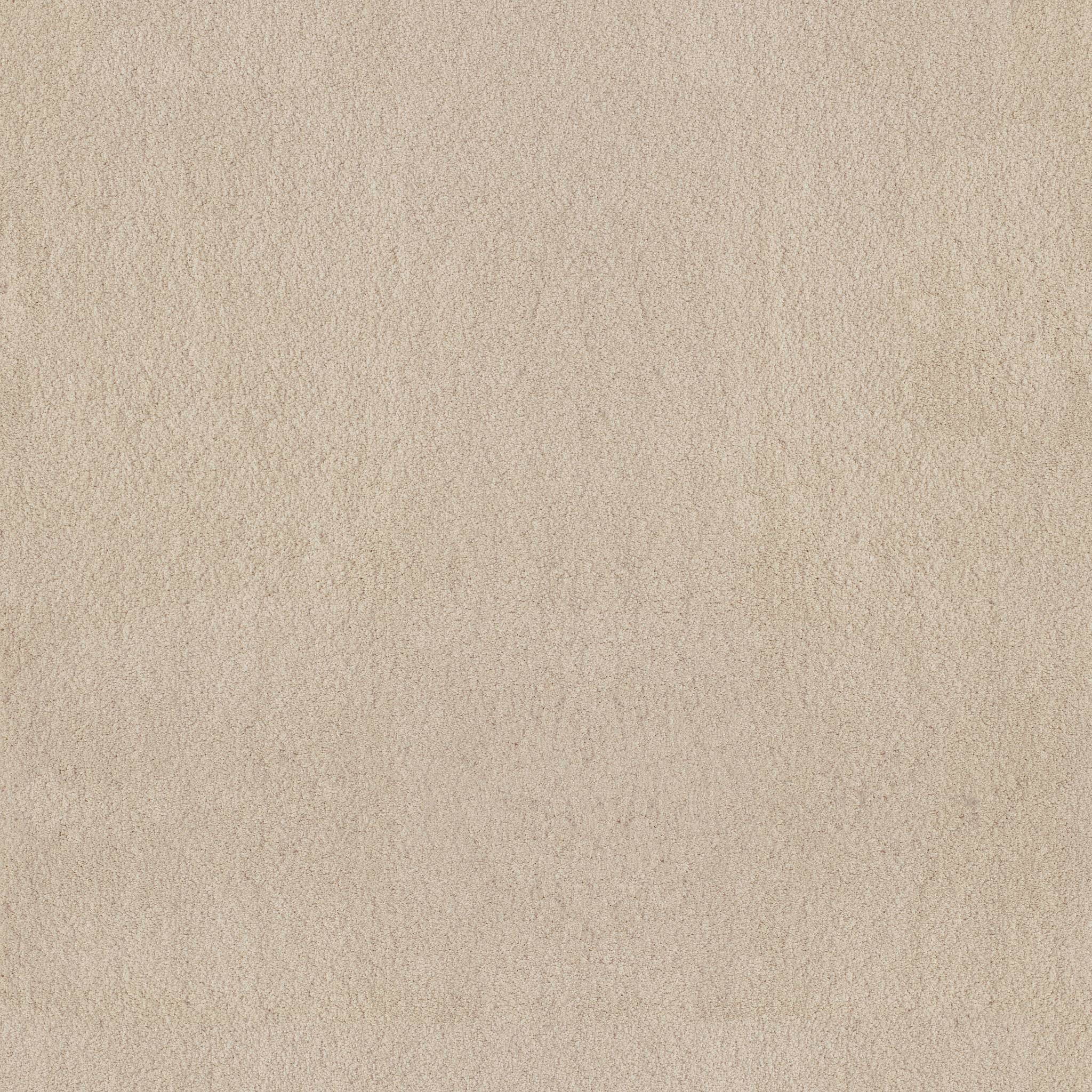 Luxe Feel II Carpet - Sunlit Zoomed Swatch Image