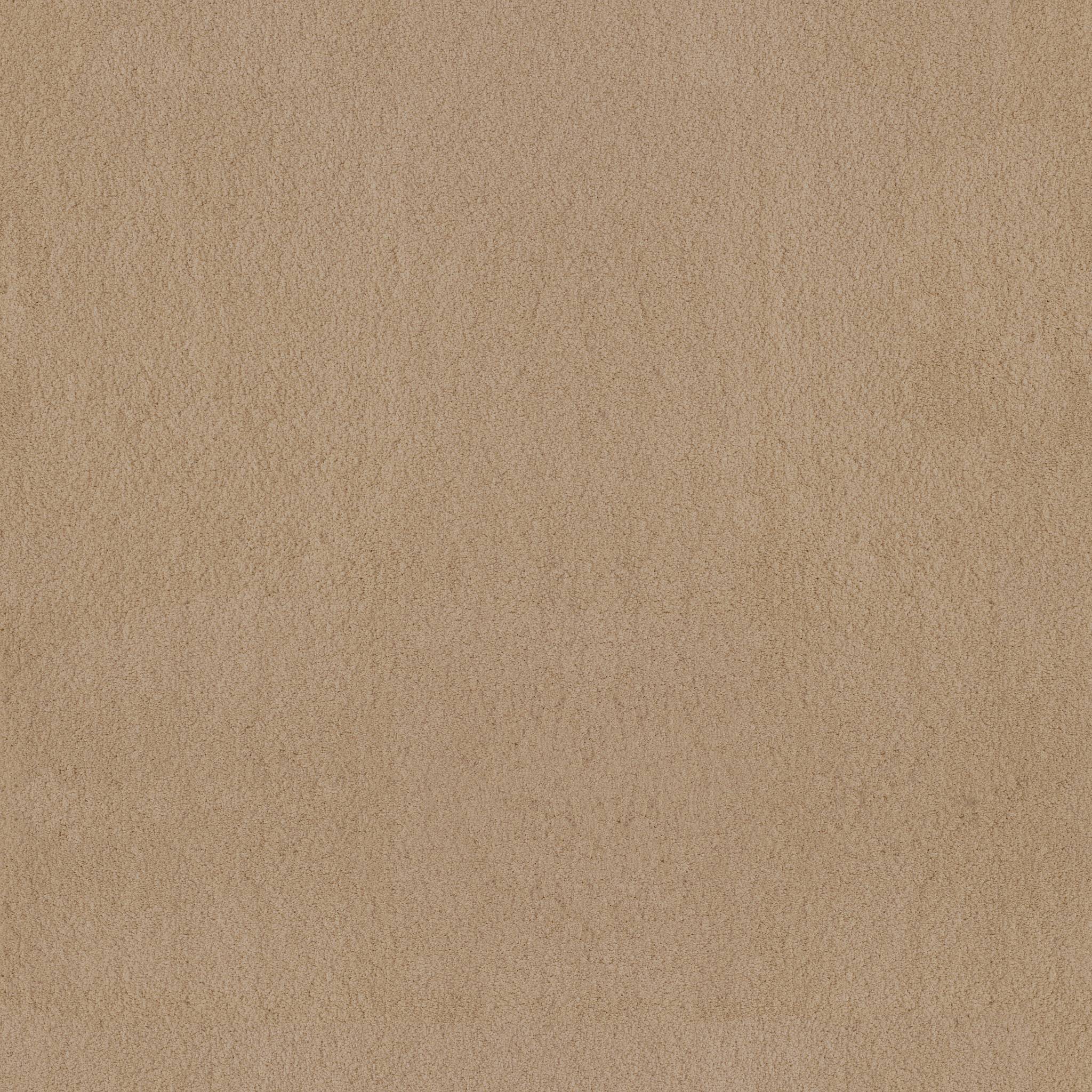 Luxe Feel II Carpet - Manilla Zoomed Swatch Image