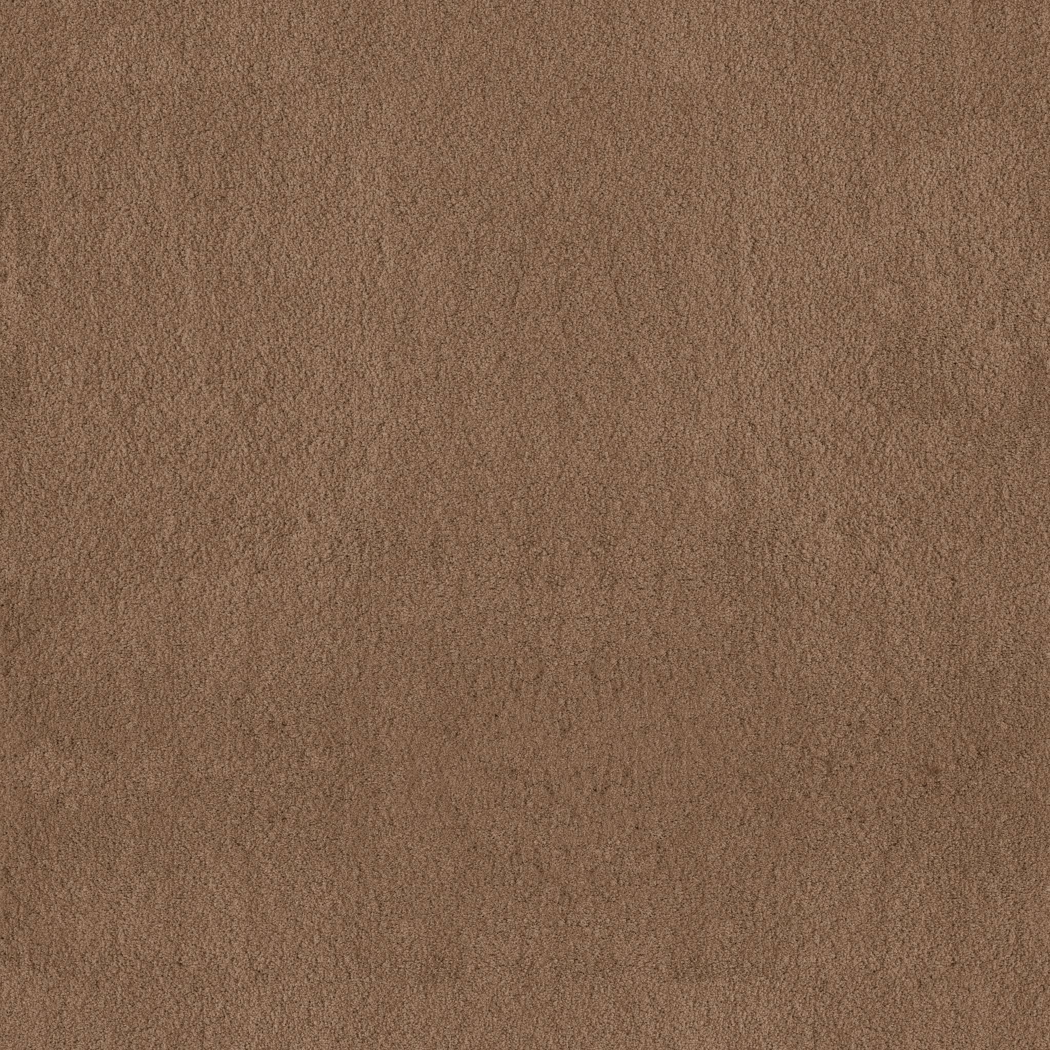 Luxe Feel II Carpet - Radiance Zoomed Swatch Image