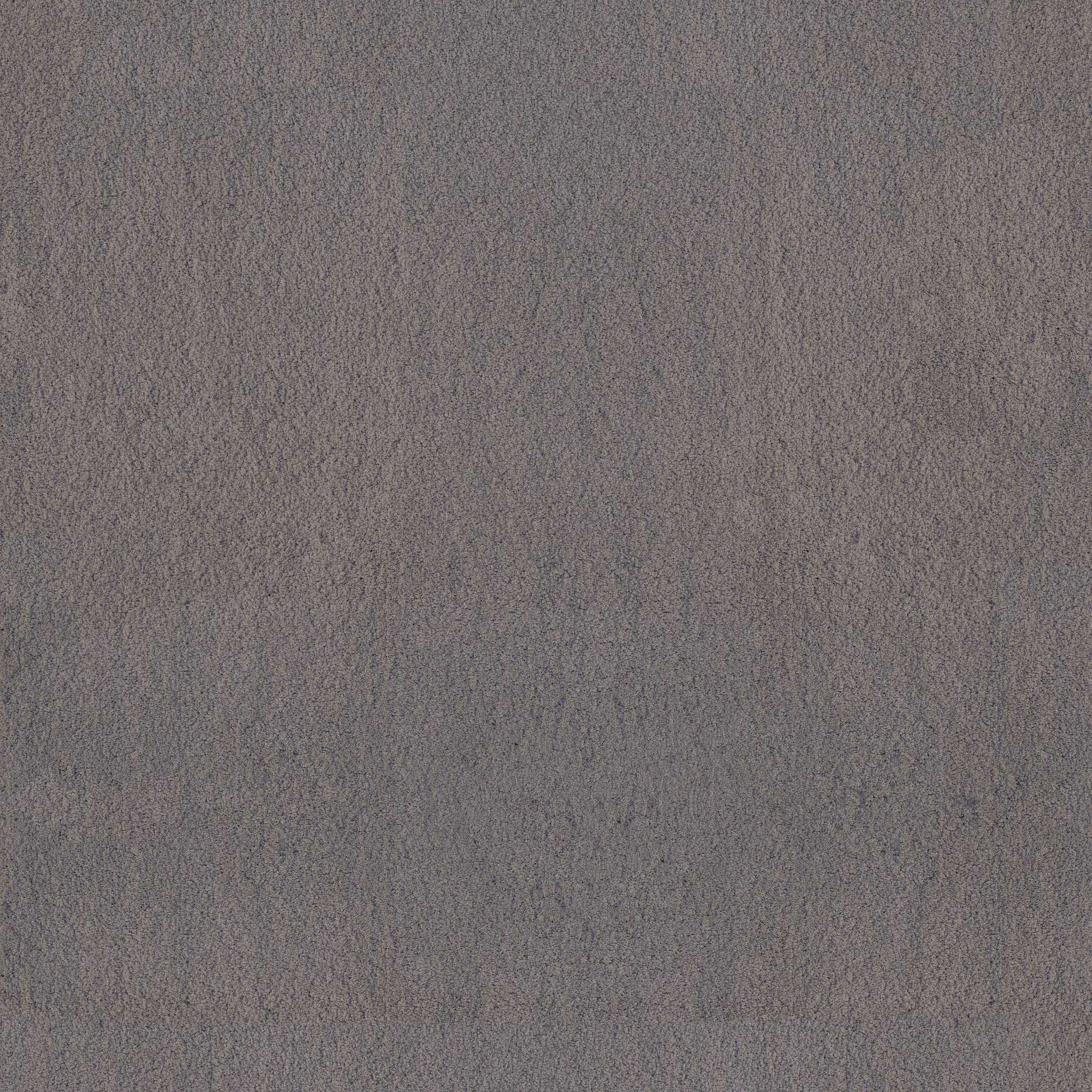 Luxe Feel II Carpet - Shale Stone Zoomed Swatch Image