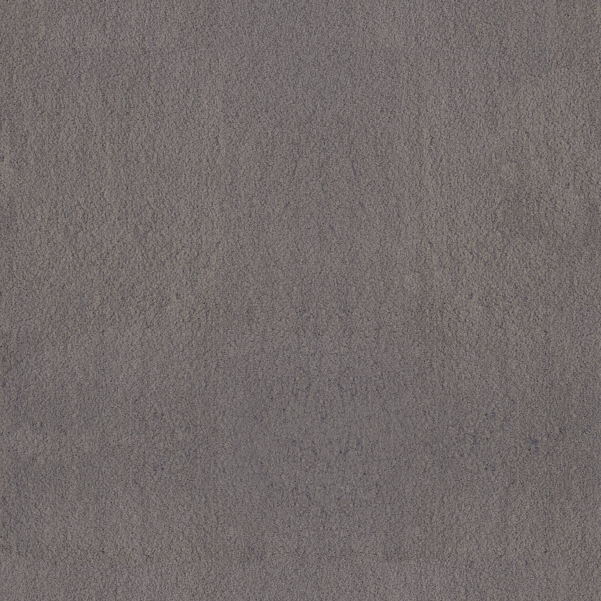 Luxe Feel II Carpet - Shale Stone Zoomed Swatch Image