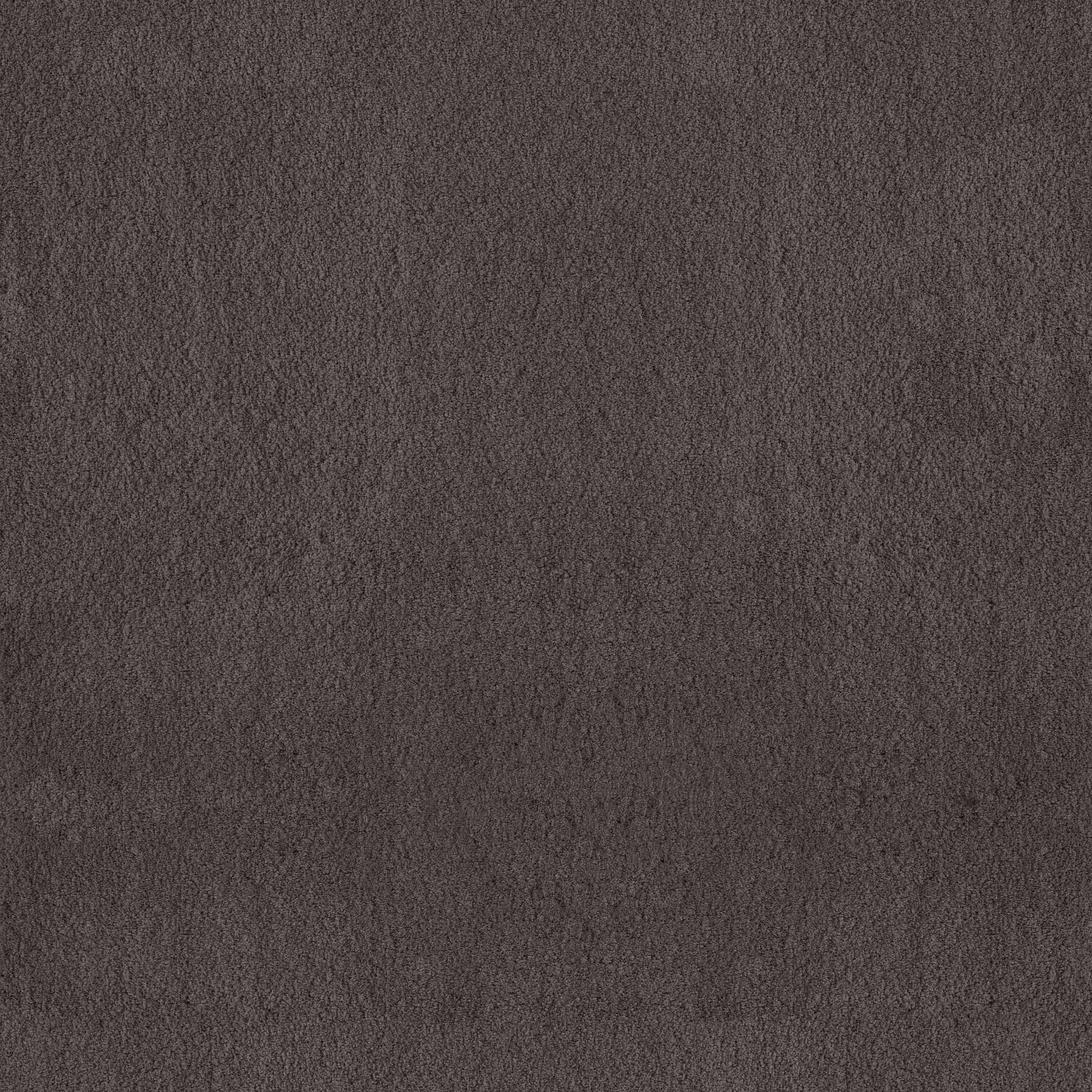 Luxe Feel II Carpet - Armory Zoomed Swatch Image