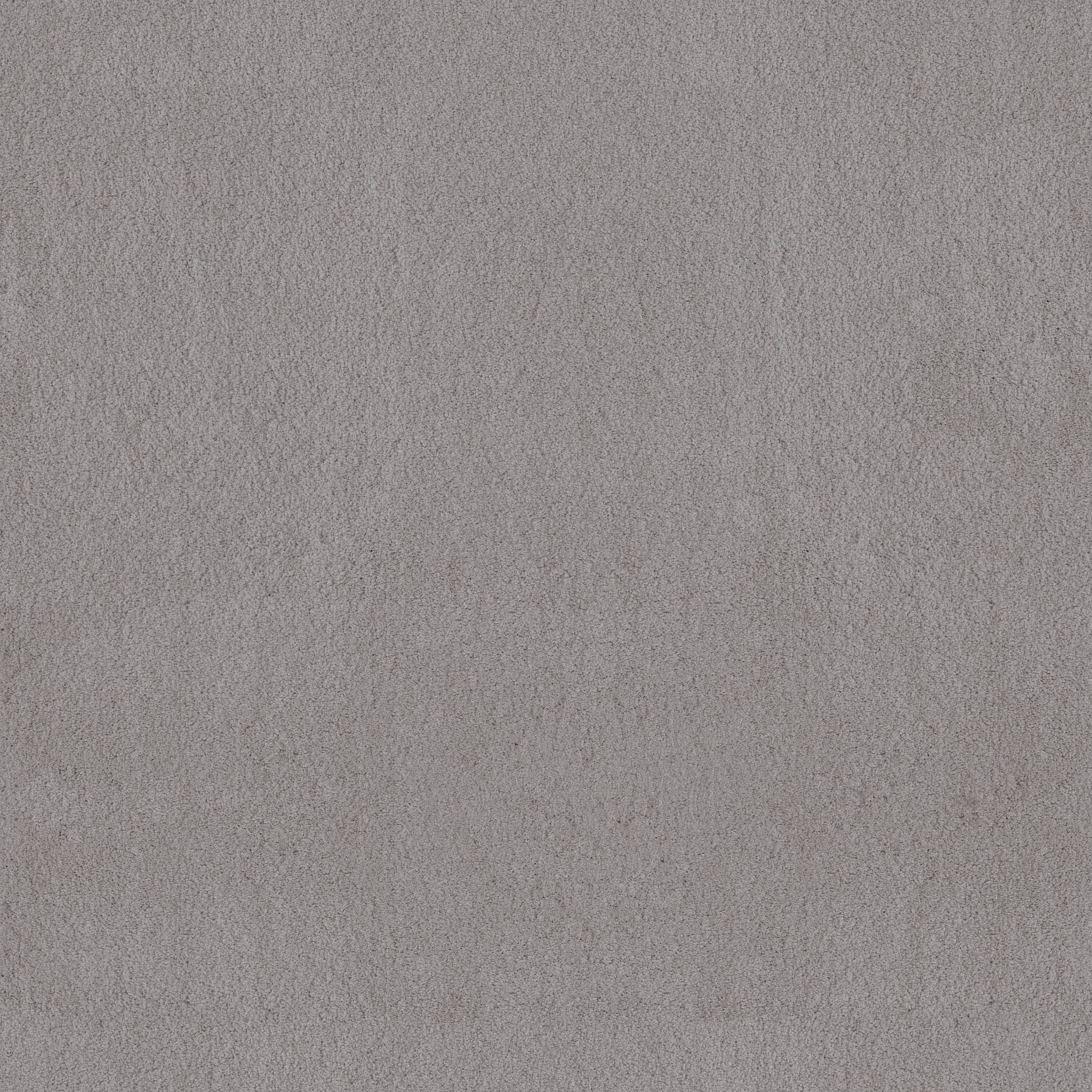 Luxe Feel II Carpet - Classic Gray Zoomed Swatch Image