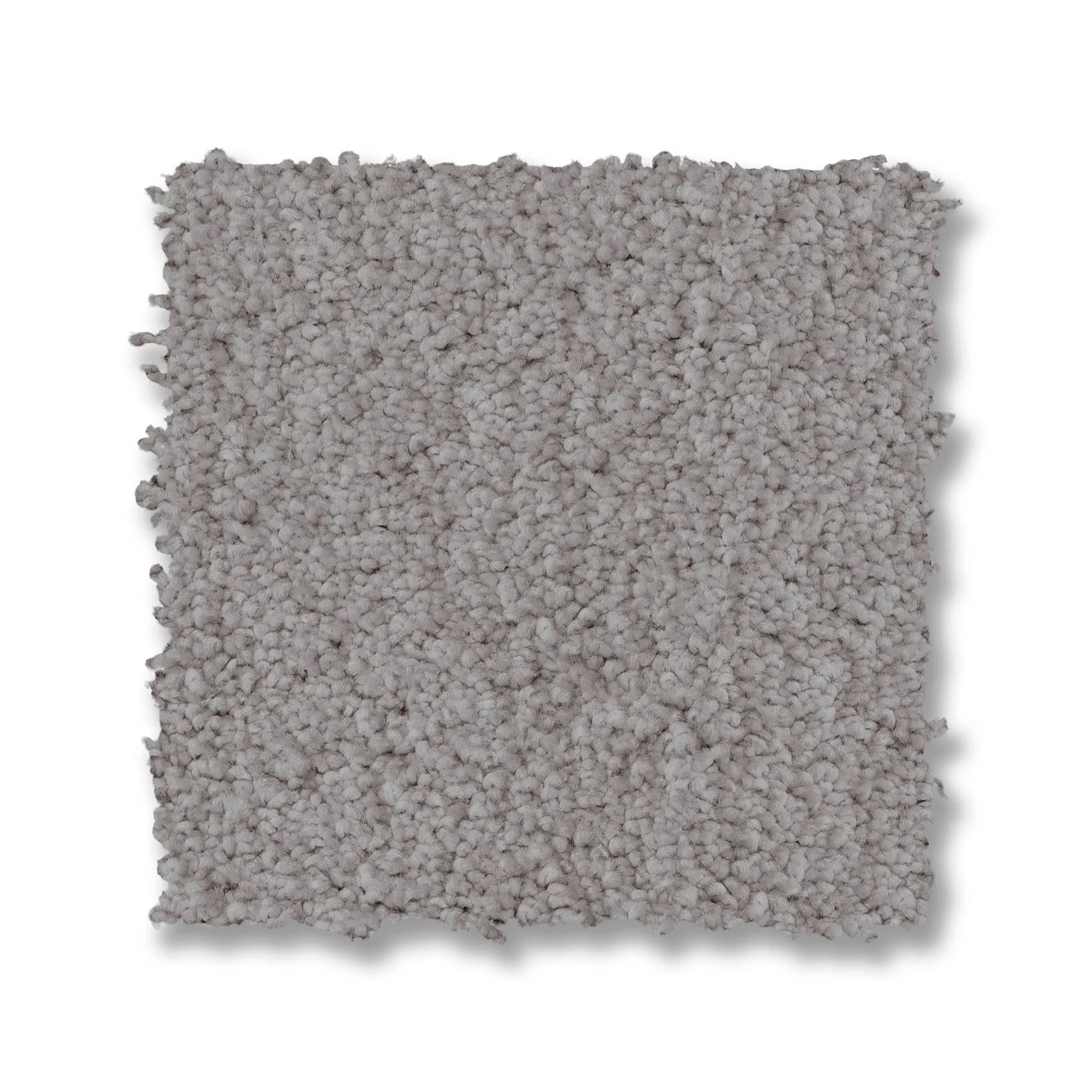 Luxe Feel II Carpet - Classic Gray Swatch Thumbnail pupop1