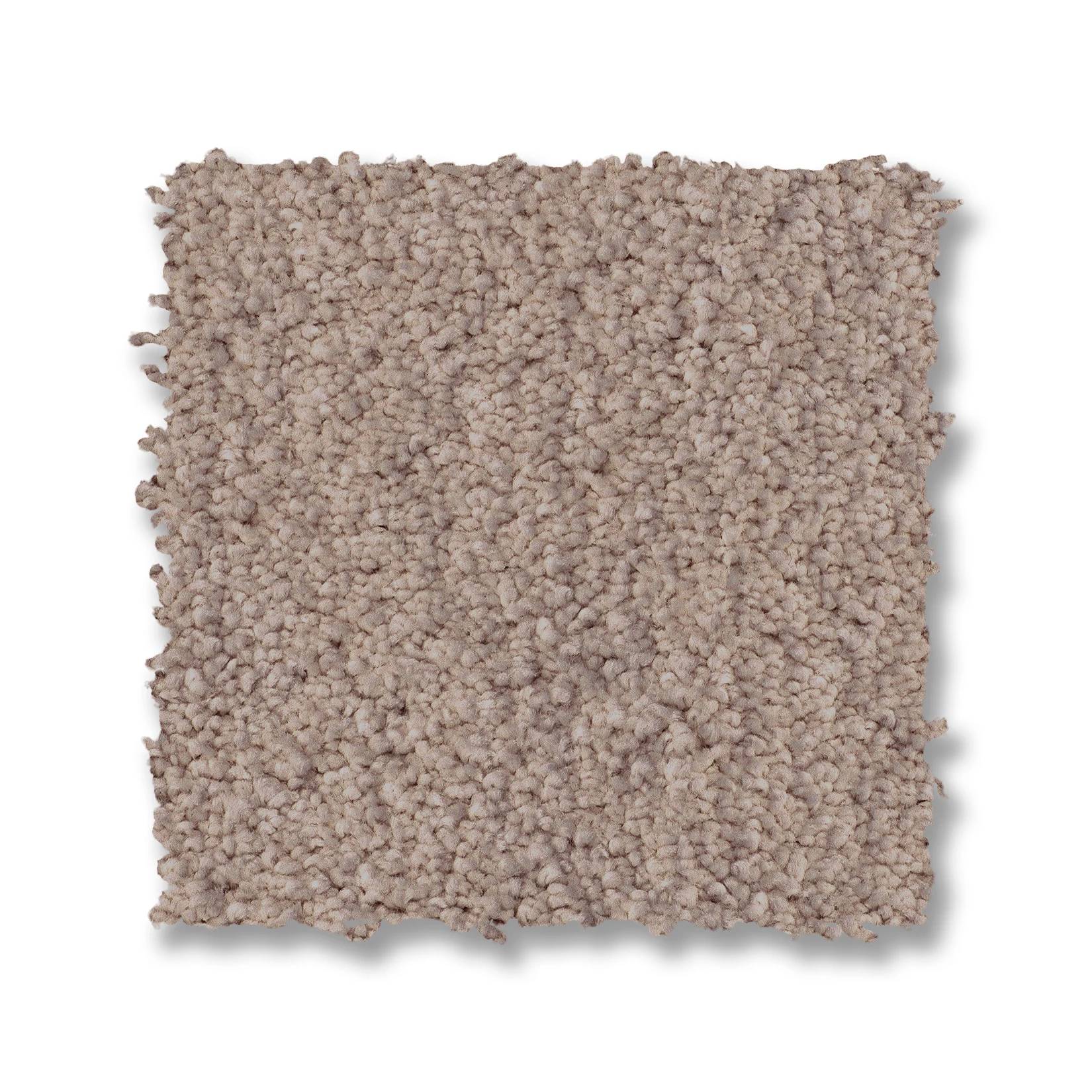 Luxe Feel II Carpet - White Pine Swatch Thumbnail pupop1
