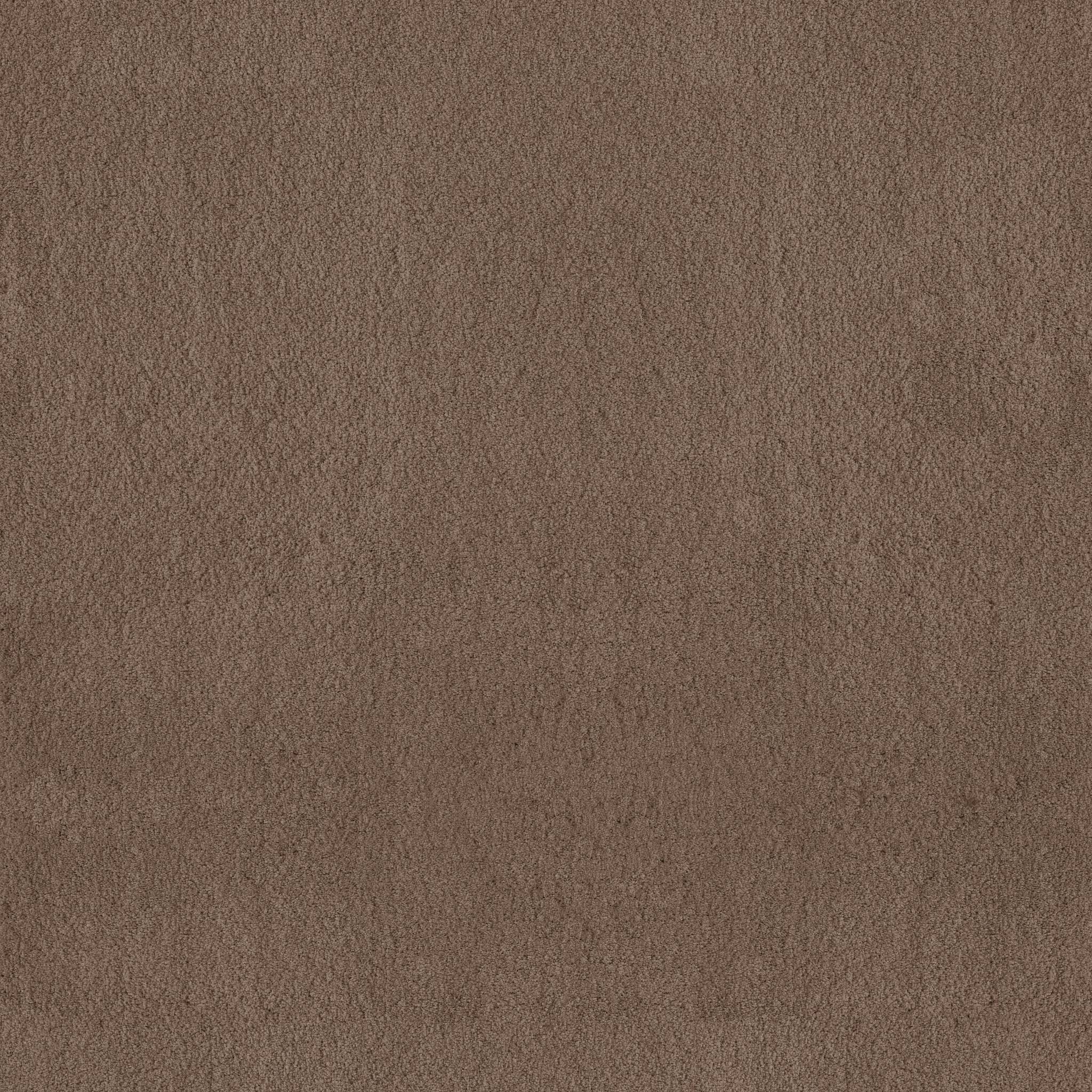 Luxe Feel II Carpet - Pebble Path Zoomed Swatch Image