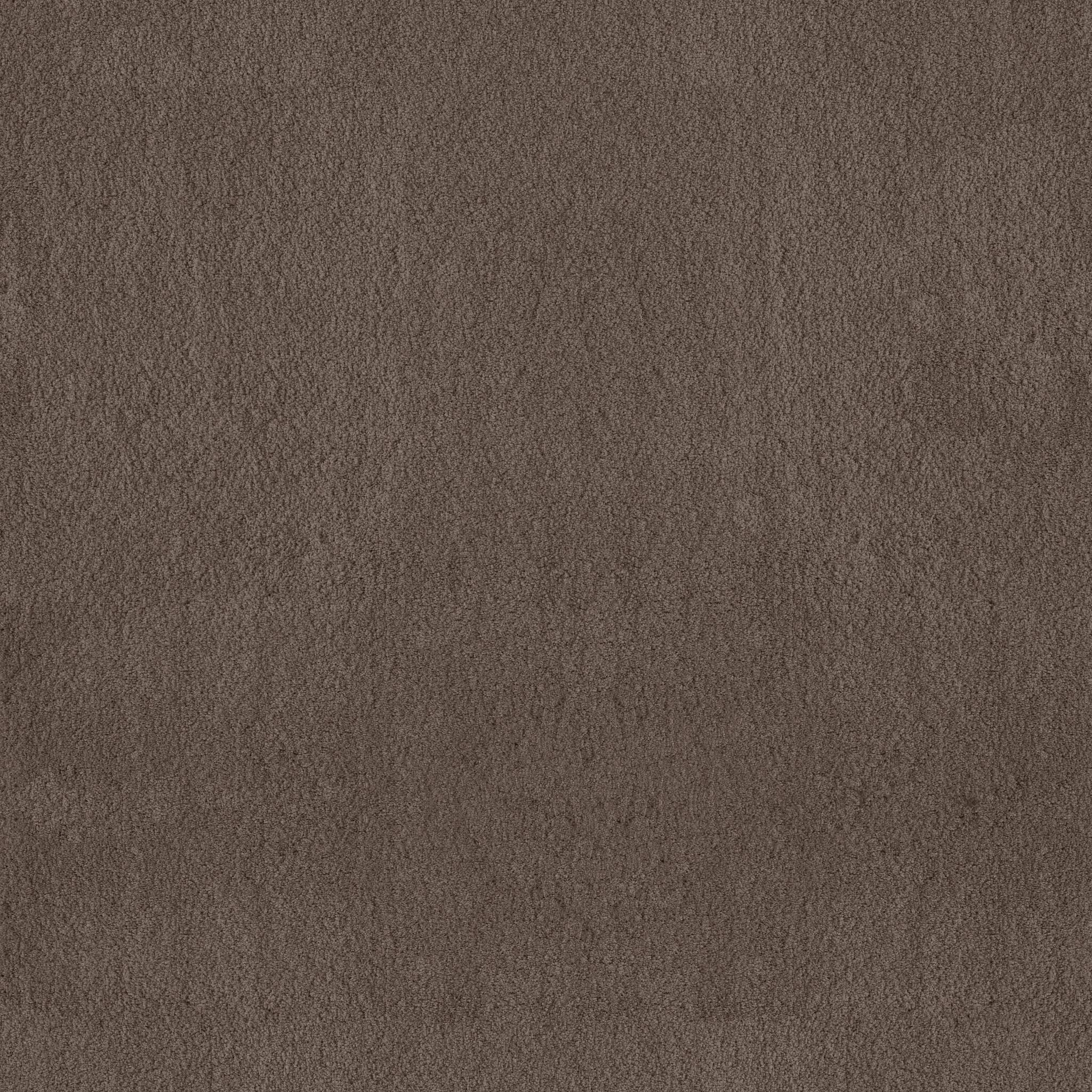 Luxe Feel II Carpet - Mesquite Zoomed Swatch Image