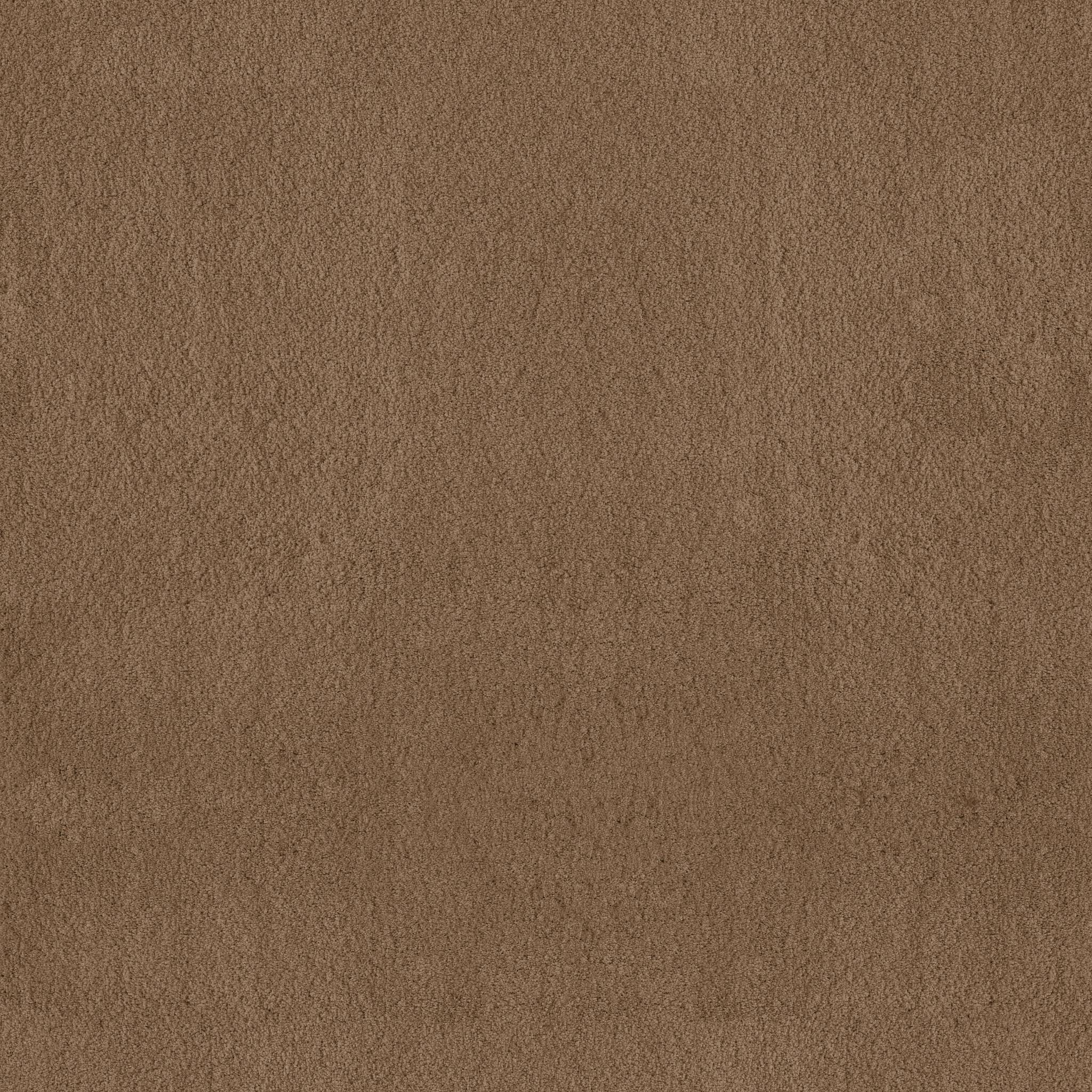 Luxe Feel II Carpet - Dried Chamomile Zoomed Swatch Image