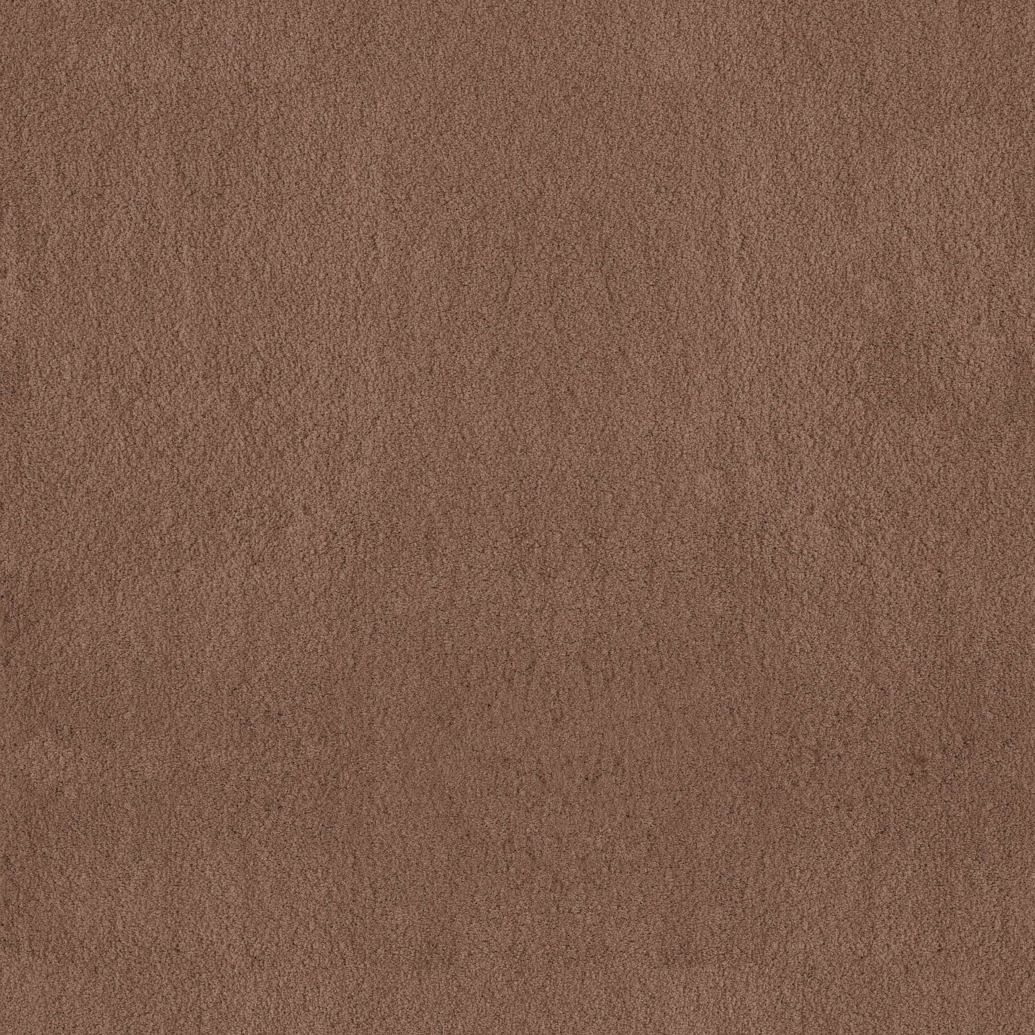 Luxe Feel II Carpet - Sugar Maple Zoomed Swatch Image