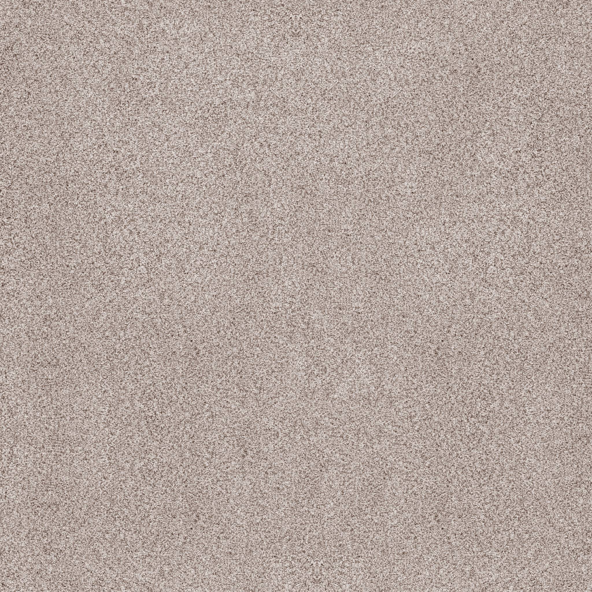 Sumptuous I Carpet - Breton Zoomed Swatch Image