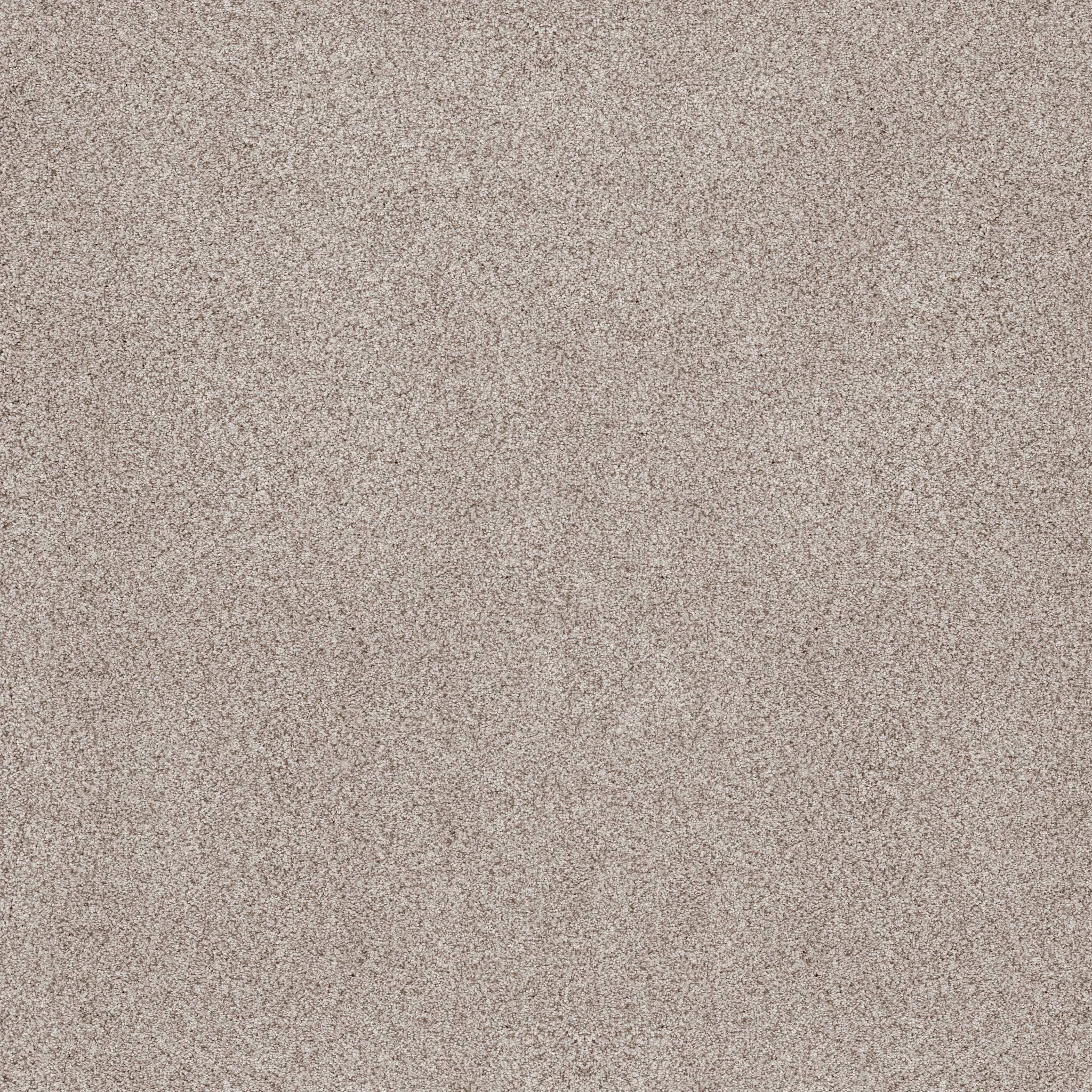 Sumptuous I Carpet - Valley Zoomed Swatch Image