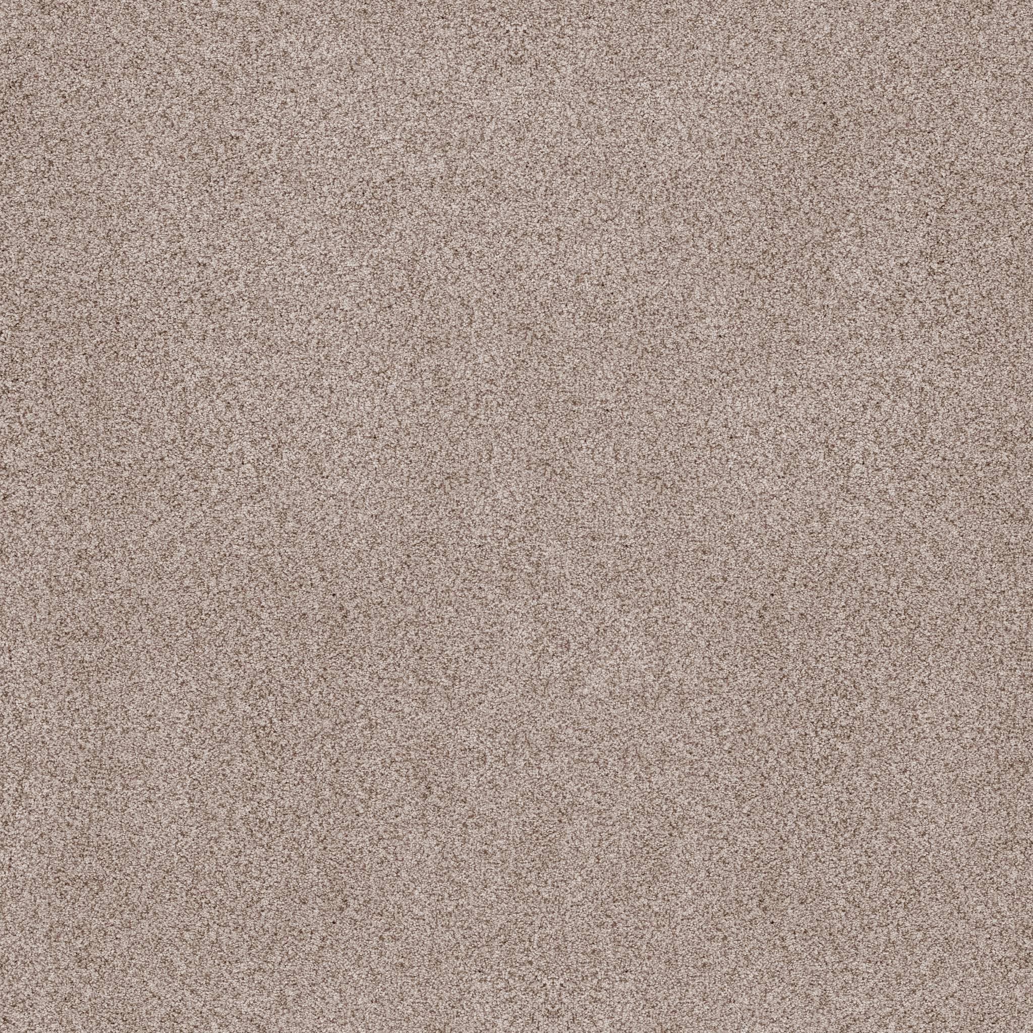 Sumptuous I Carpet - Cricket Club Zoomed Swatch Image