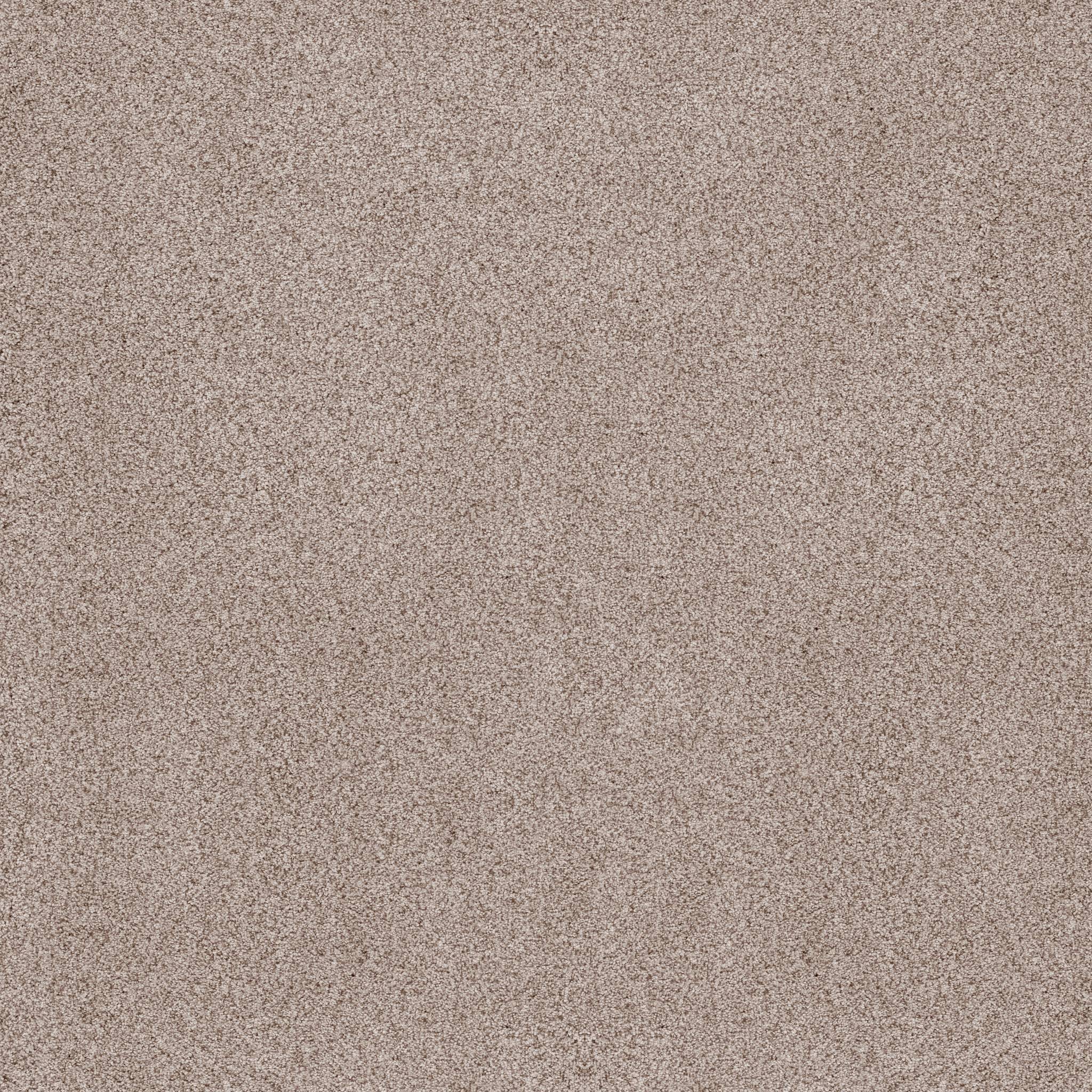 Sumptuous I Carpet - Cricket Club Zoomed Swatch Image