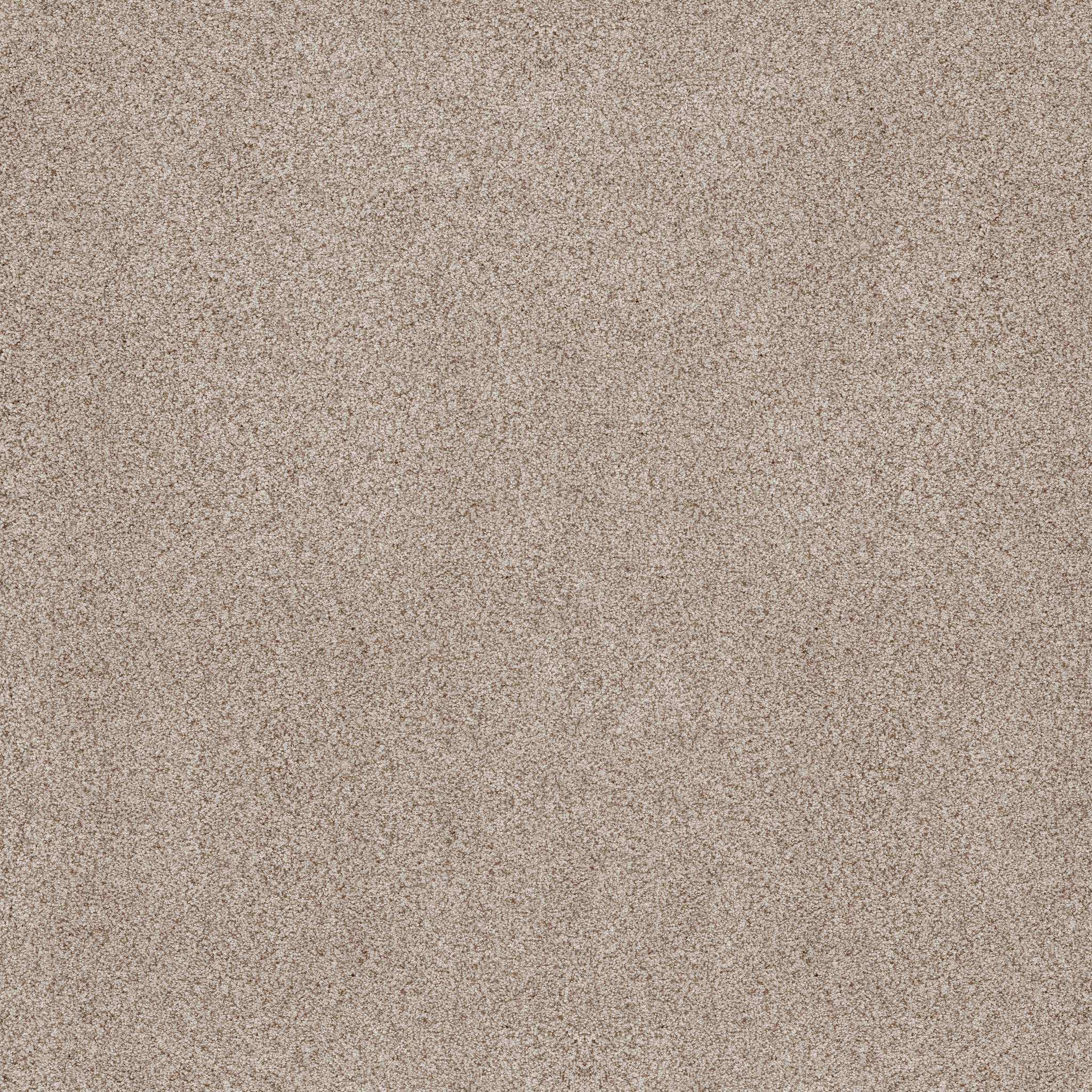 Sumptuous I Carpet - Cliff Zoomed Swatch Image