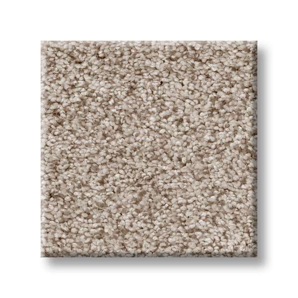 Style Sumptuous I Carpet - Cliff Swatch
