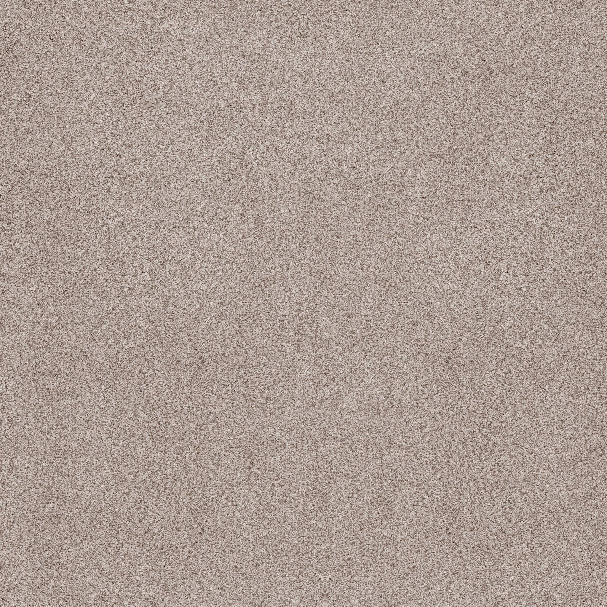 Sumptuous I Carpet - Granite Dust Zoomed Swatch Image