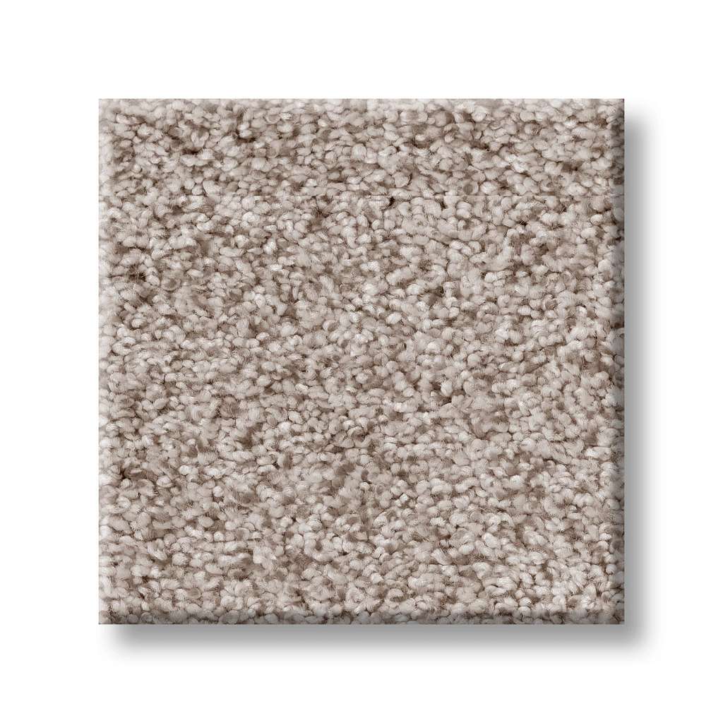 Sumptuous I Carpet - Granite Dust  Swatch Image 