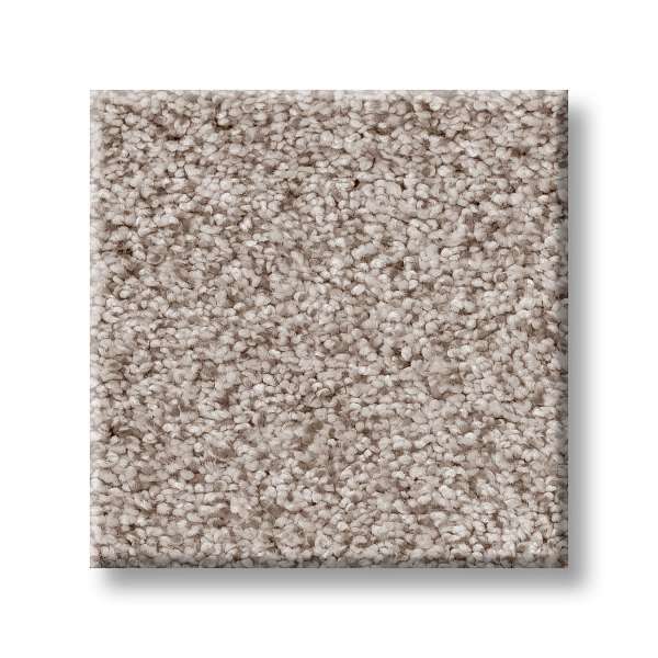 Style Sumptuous I Carpet - Granite Dust Swatch