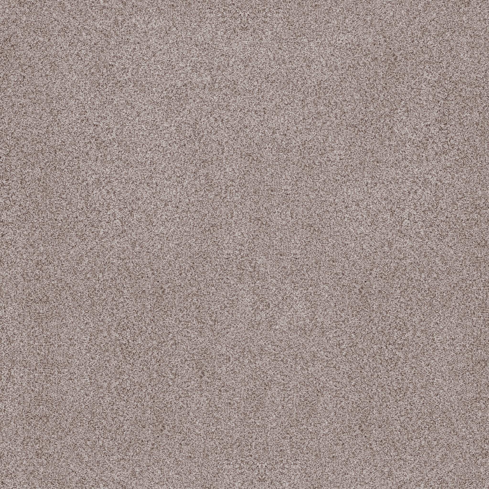 Sumptuous I Carpet - Patio Stone Zoomed Swatch Image