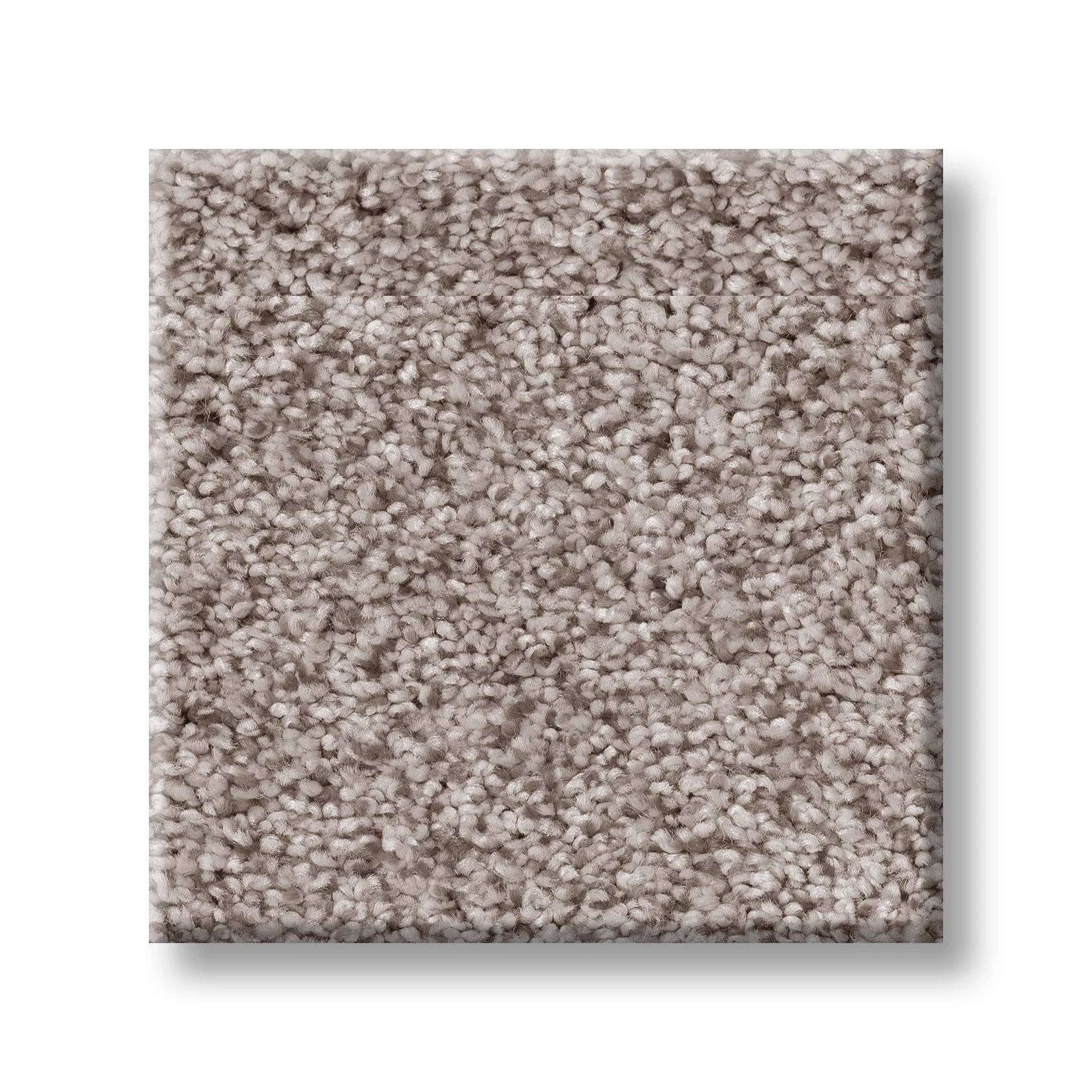 Sumptuous I Carpet - Patio Stone Swatch Thumbnail pupop1