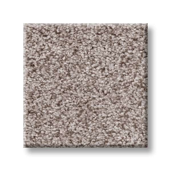 Style Sumptuous I Carpet - Patio Stone Swatch