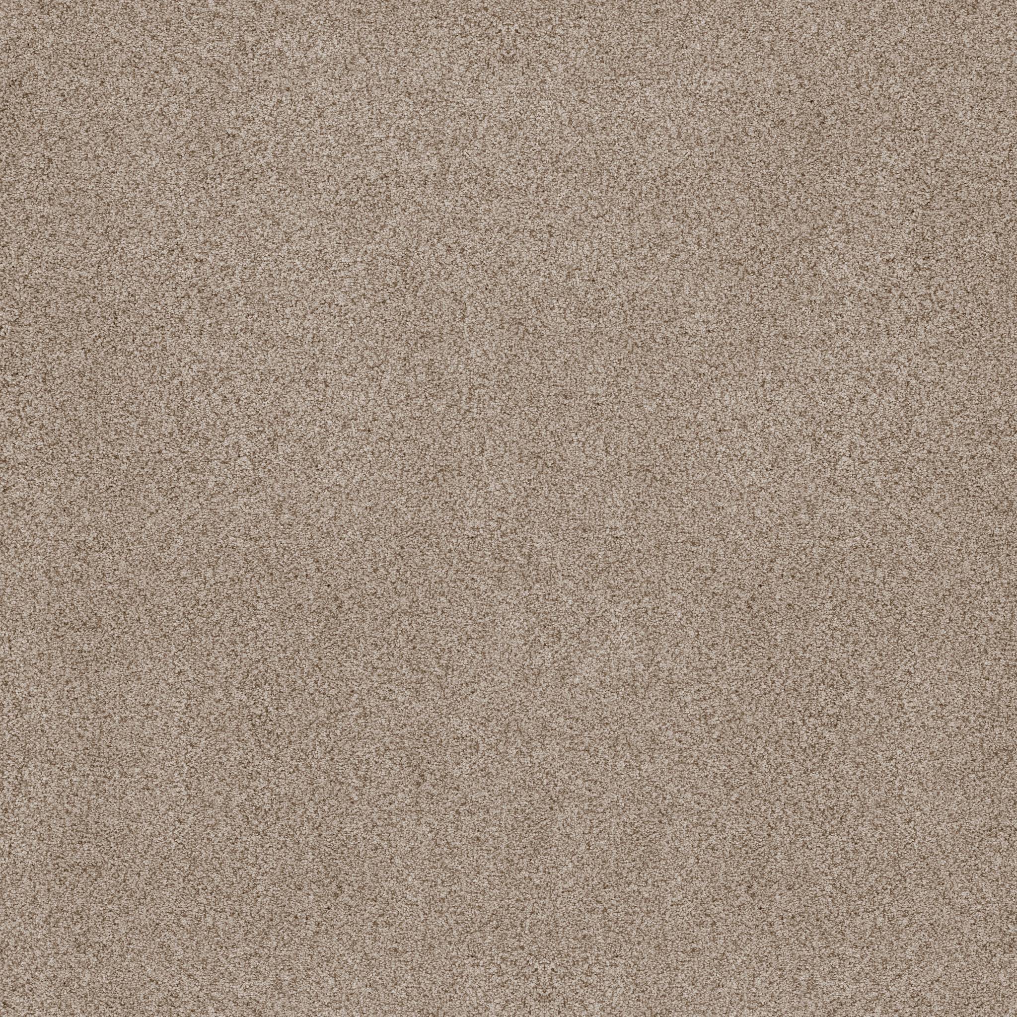 Sumptuous I Carpet - Cream Tea Zoomed Swatch Image