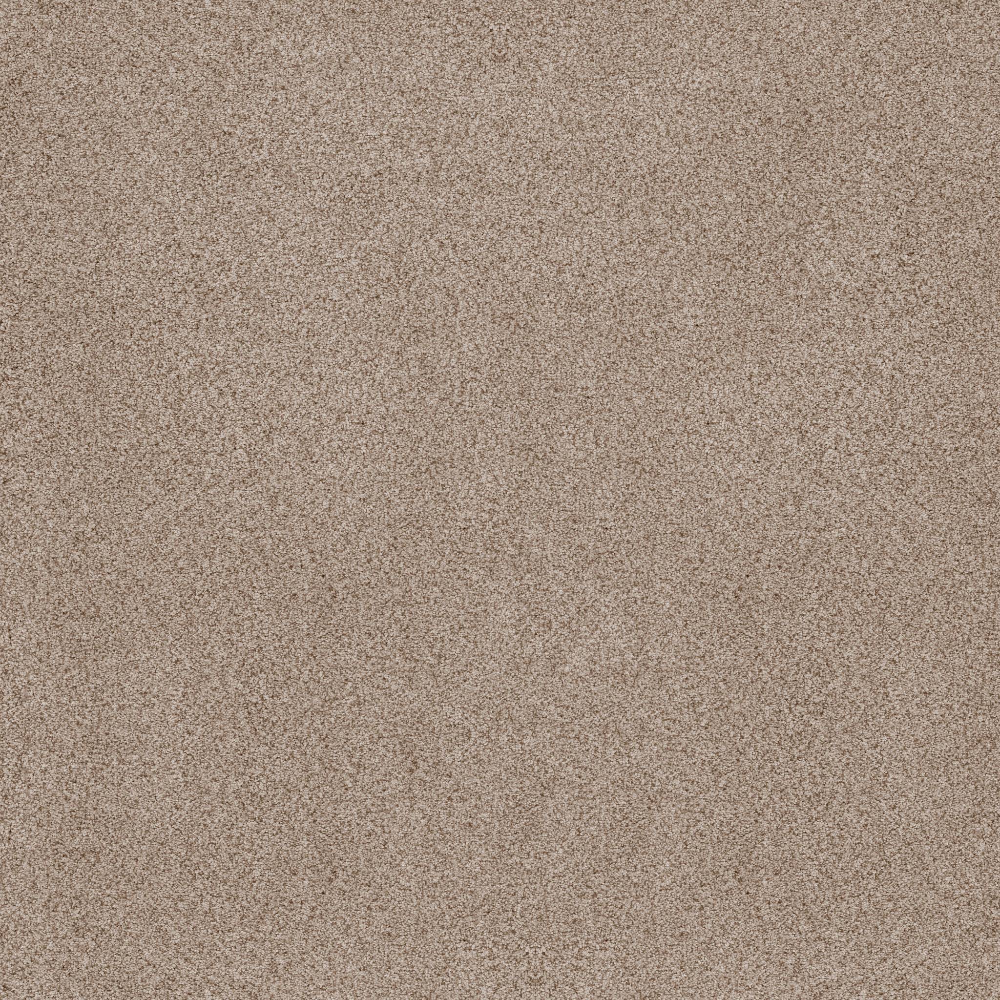 Sumptuous I Carpet - Toasted Grain Zoomed Swatch Image